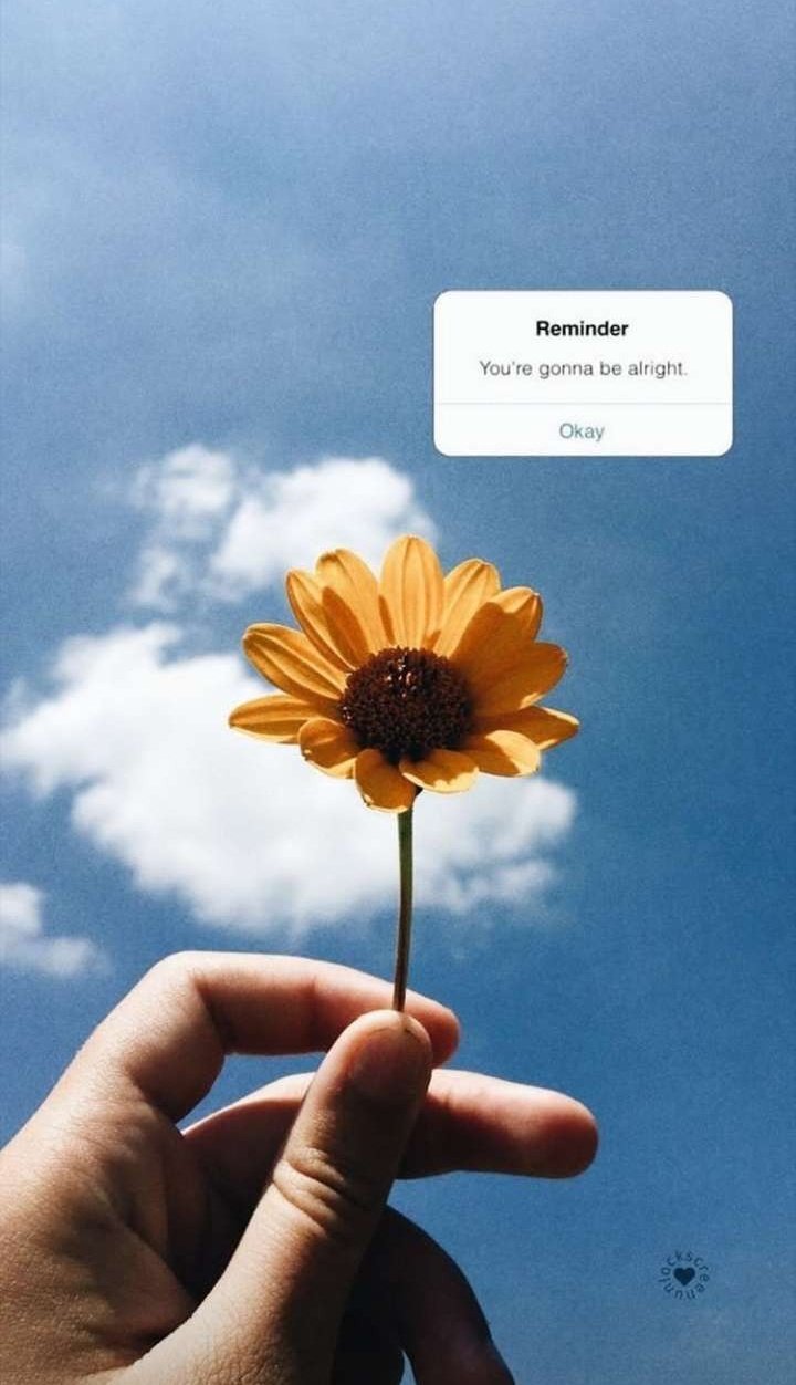 Aesthetic Wallpaper're gonna be alright ❤️