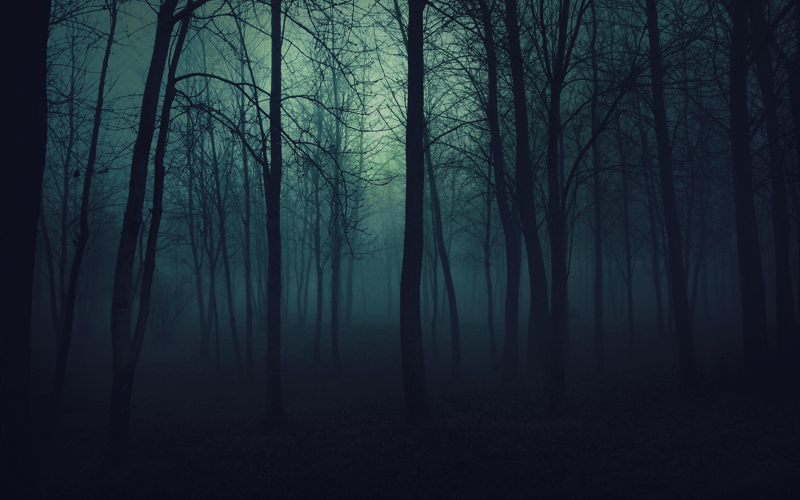 Dark Scary Forest Wallpaper, HD Dark Scary Forest Background on WallpaperBat