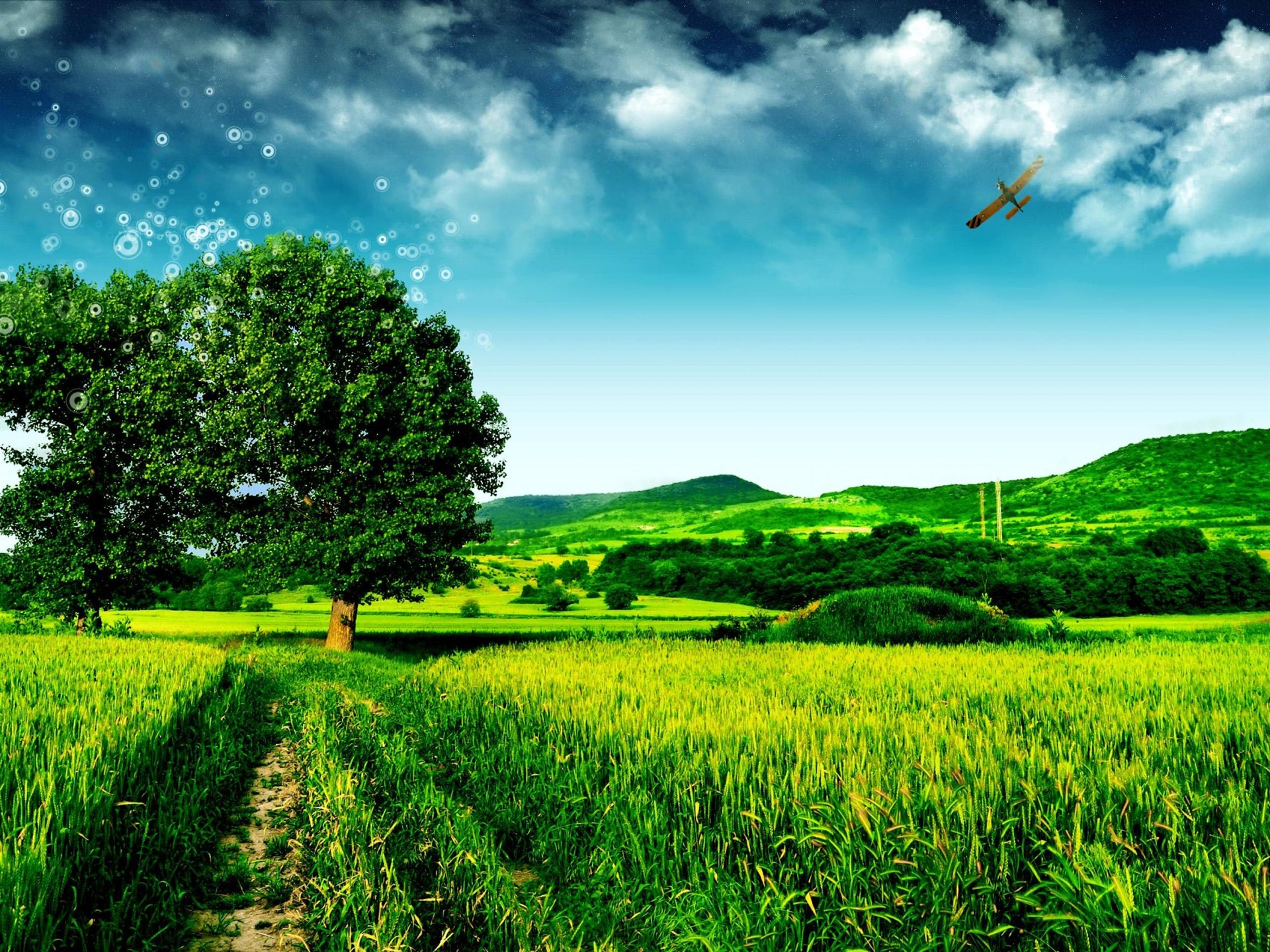 Green Tree Fantasy Landscape Nature Wallpaper