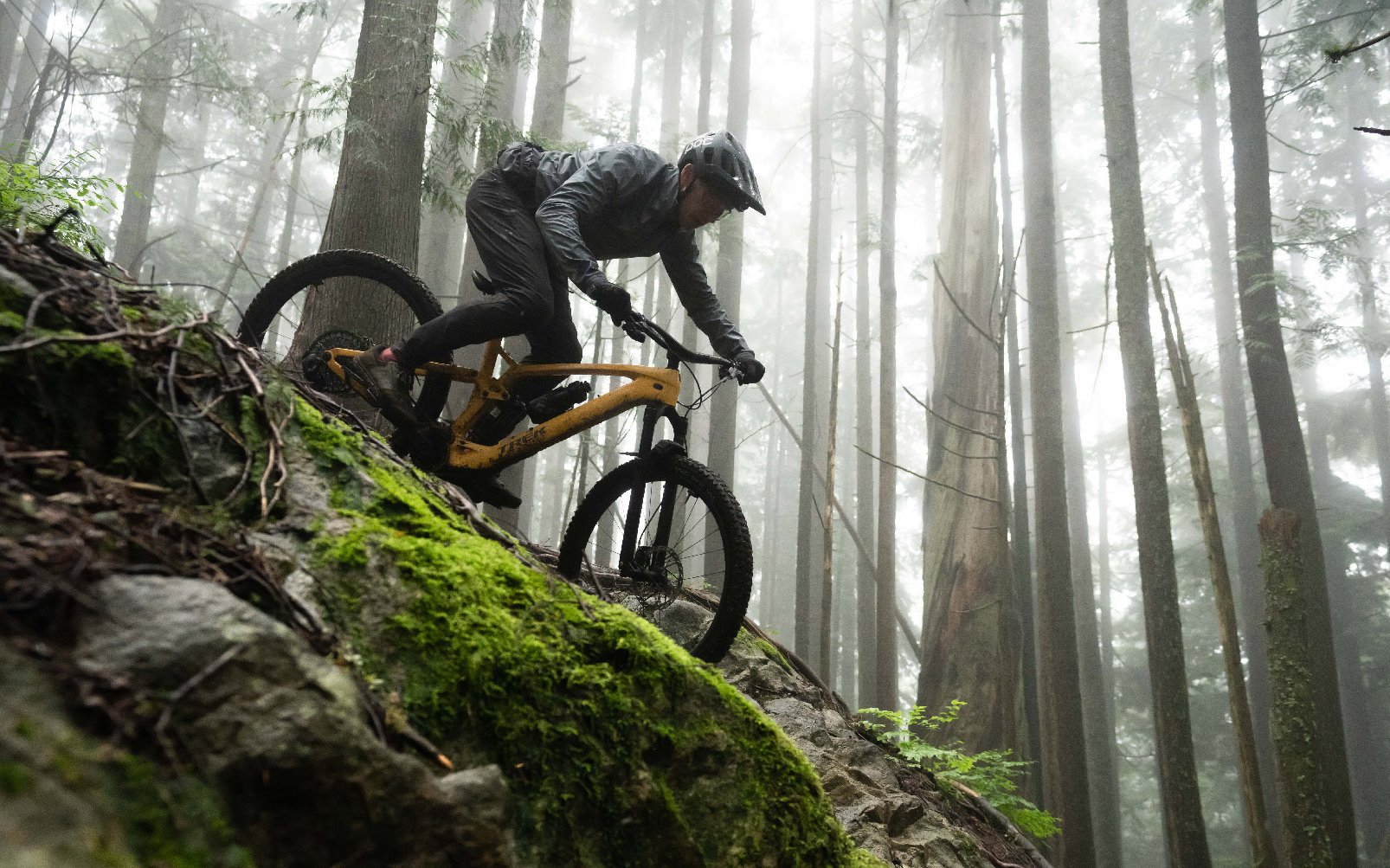 Introducing the 2023 Trek Fuel EXe 9.9 XX1 AXS
