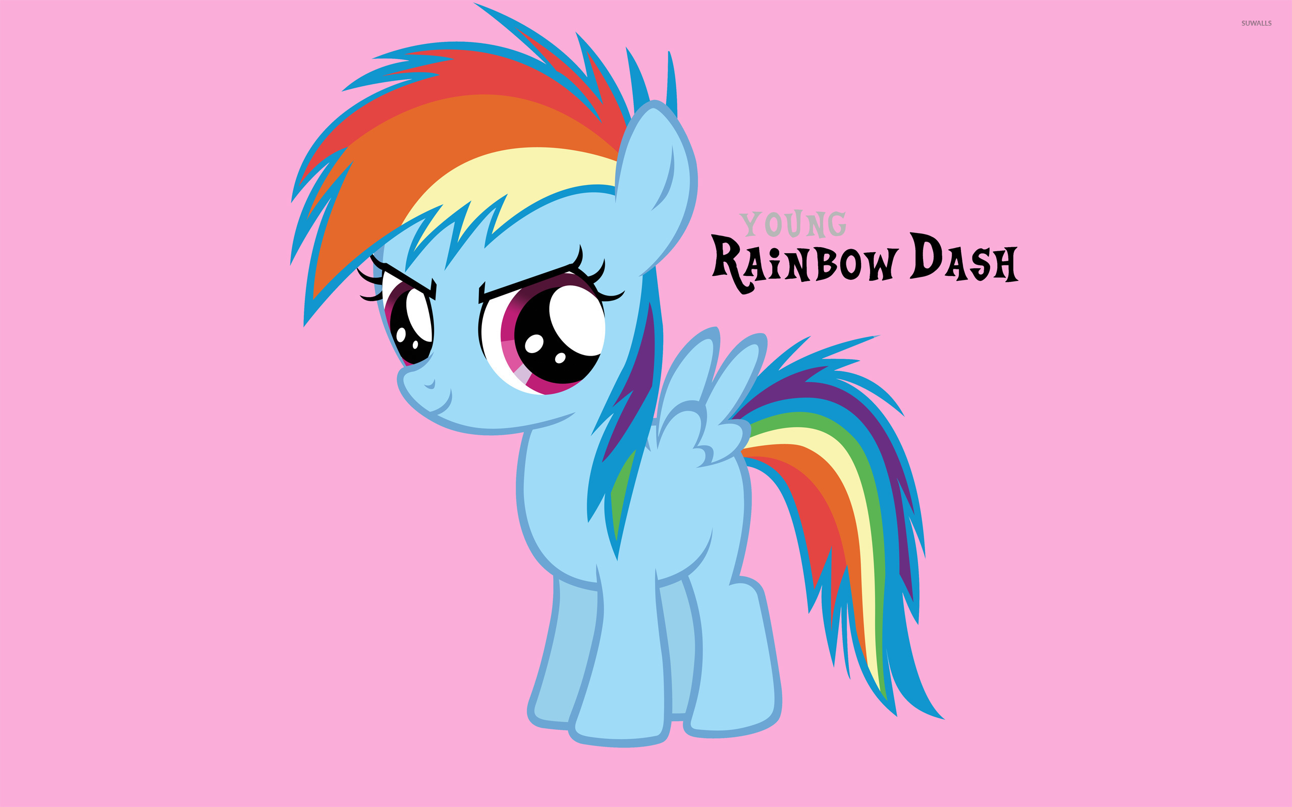 Young Rainbow Dash wallpaper wallpaper