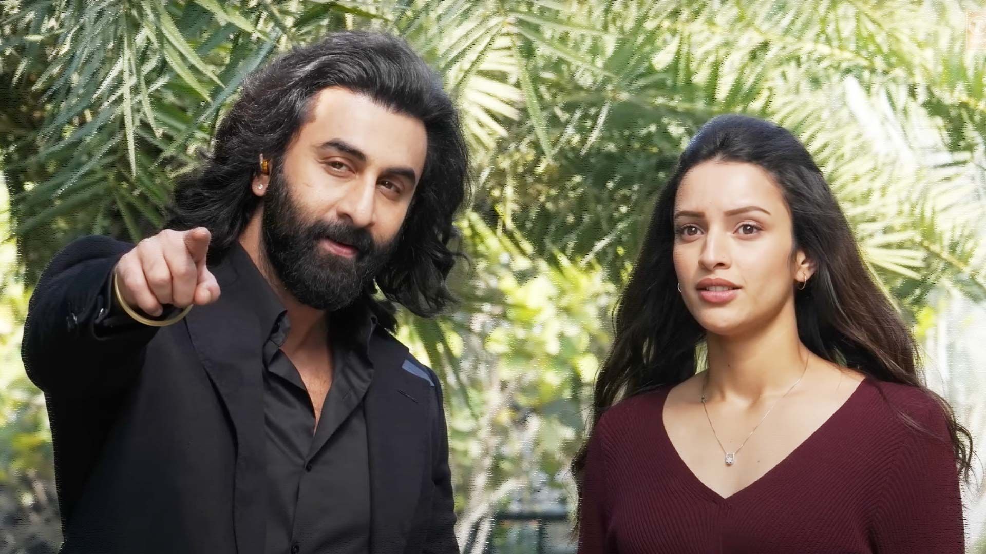 Must Watch Movies Of Triptii Dimri Who Has Emerged As The New National Crush Post Animal Release