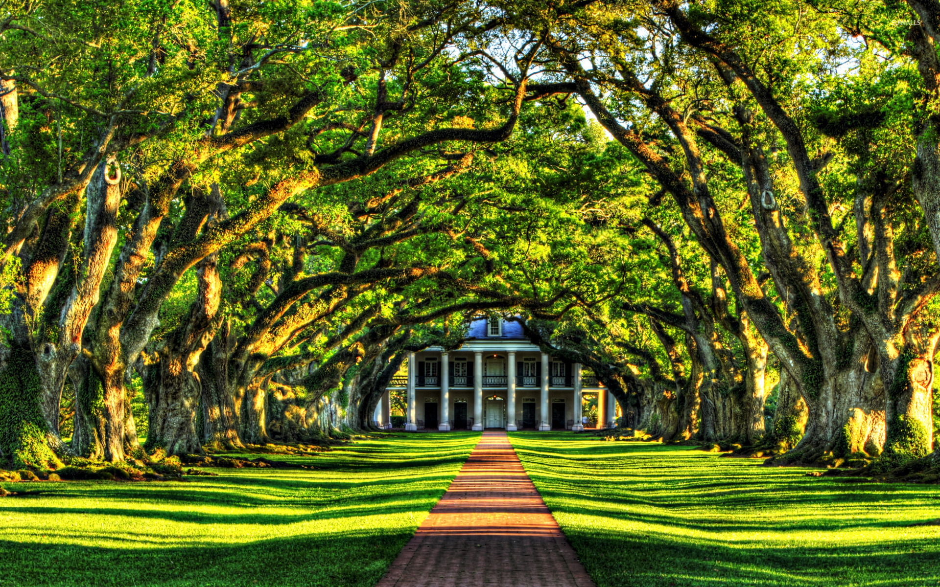 Tree tunnel to the mansion wallpaper wallpaper