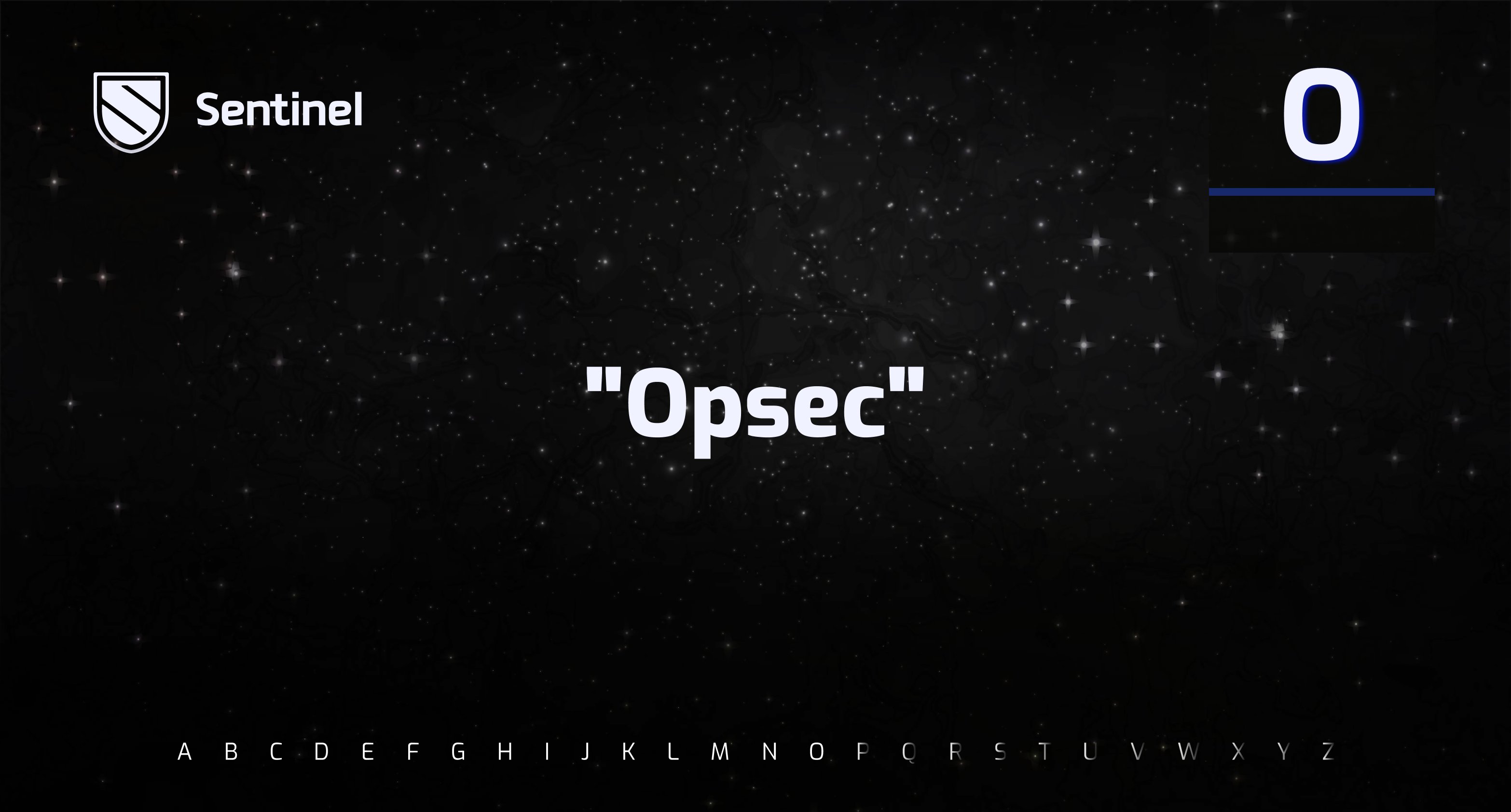 Sentinel Security (OPSEC) is a set of practices and strategies used to protect your sensitive information. Using a VPN NEEDS to be a part of your own OPSEC. Not