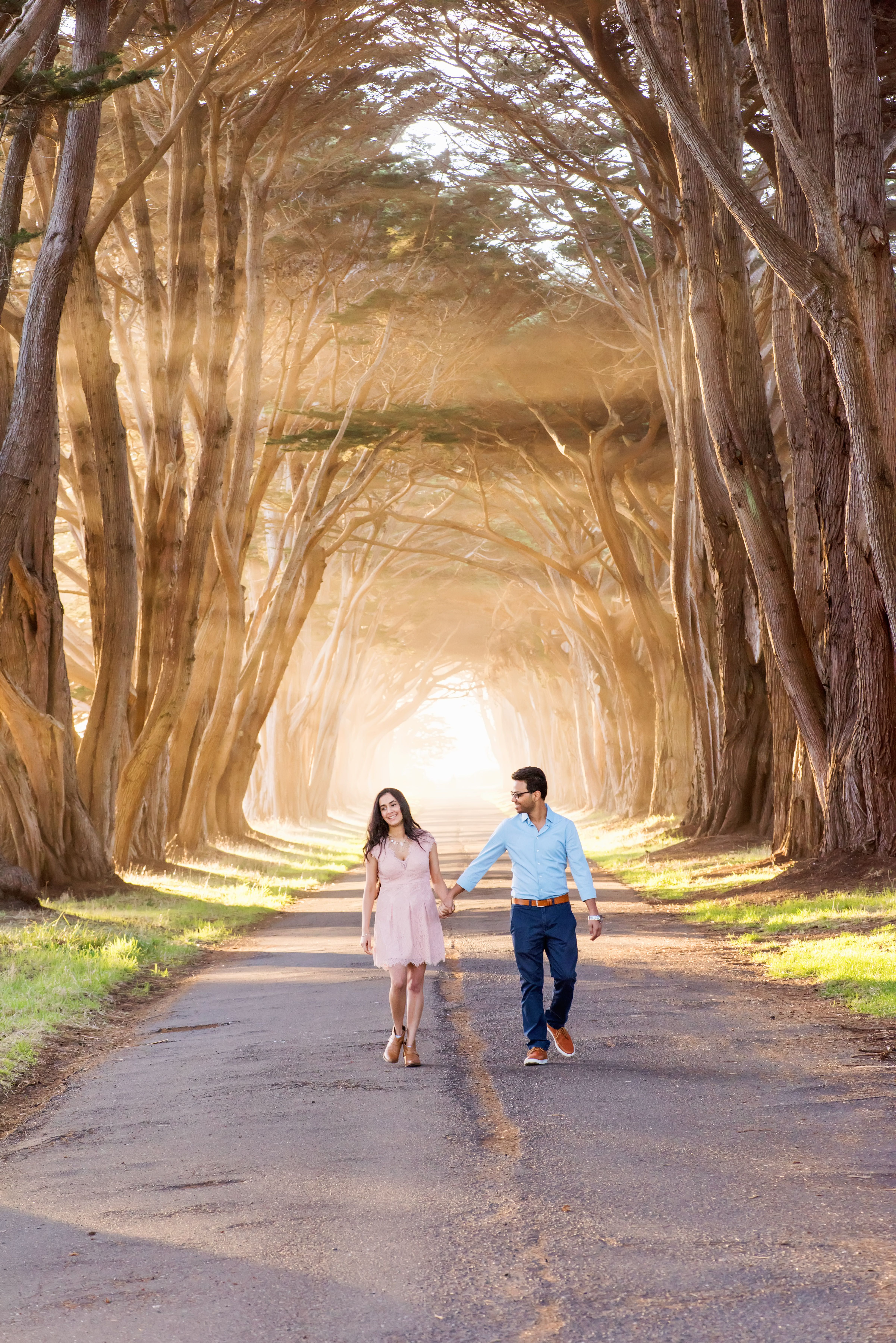 Point reyes national seashore ideas. point reyes national seashore, point reyes, reyes