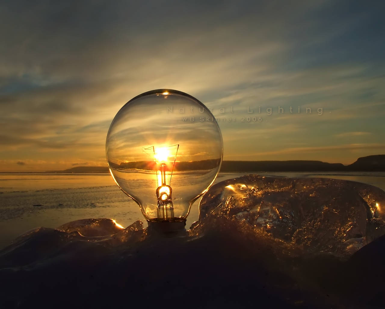 Light Bulb Wallpaper