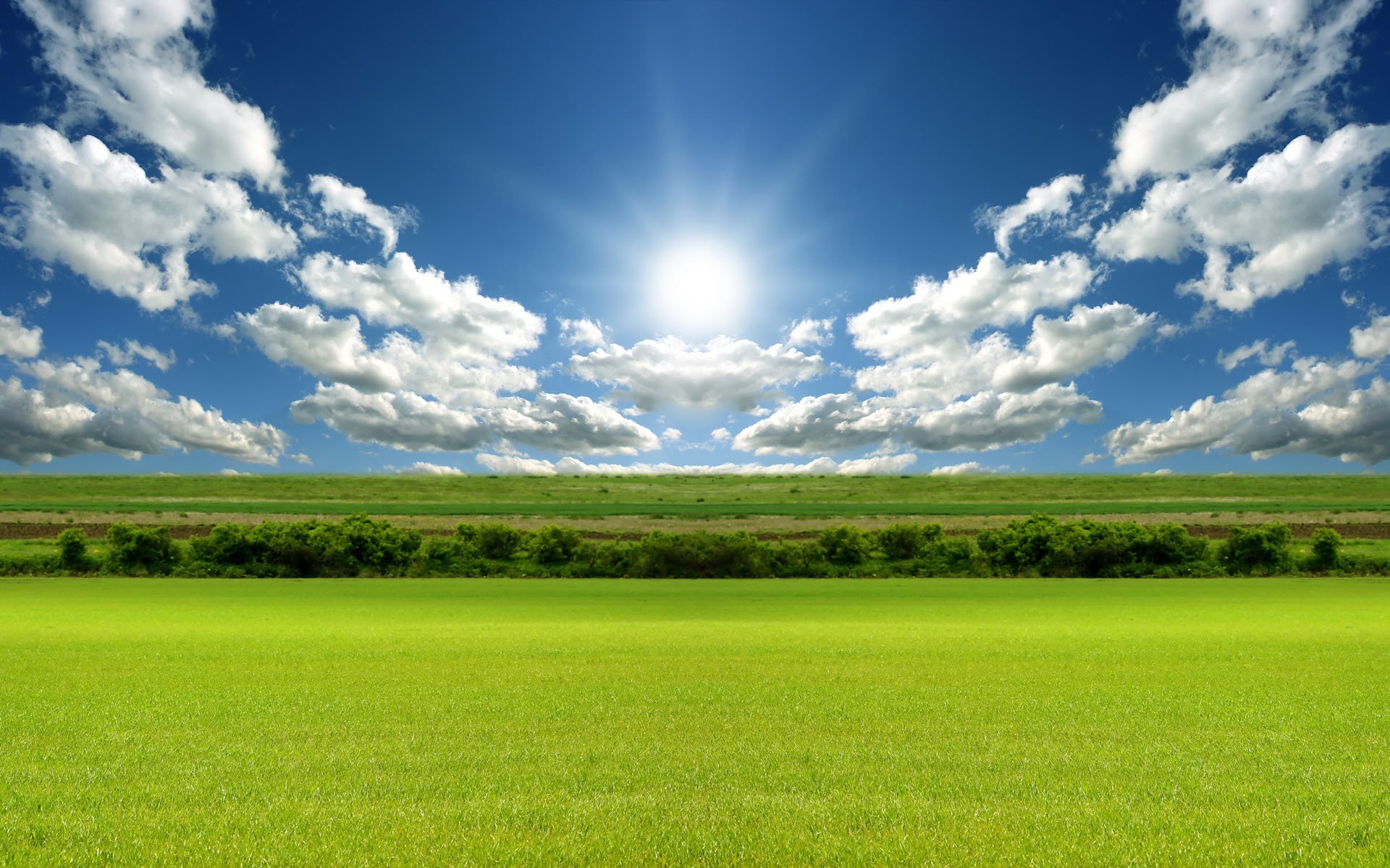 Bright Day Light, High Definition, High Quality, Widescreen