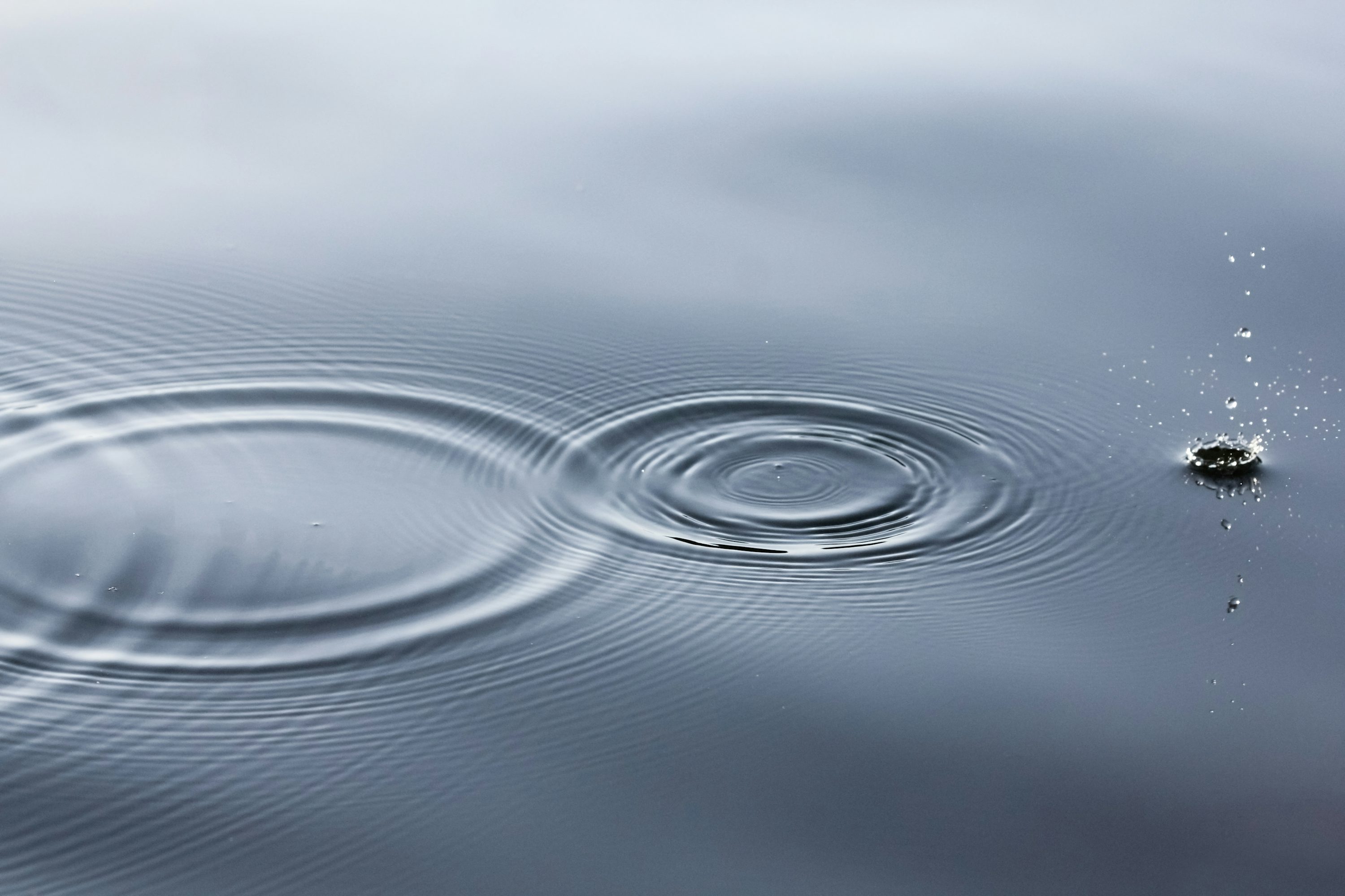 Water Ripple Picture. Download Free Image