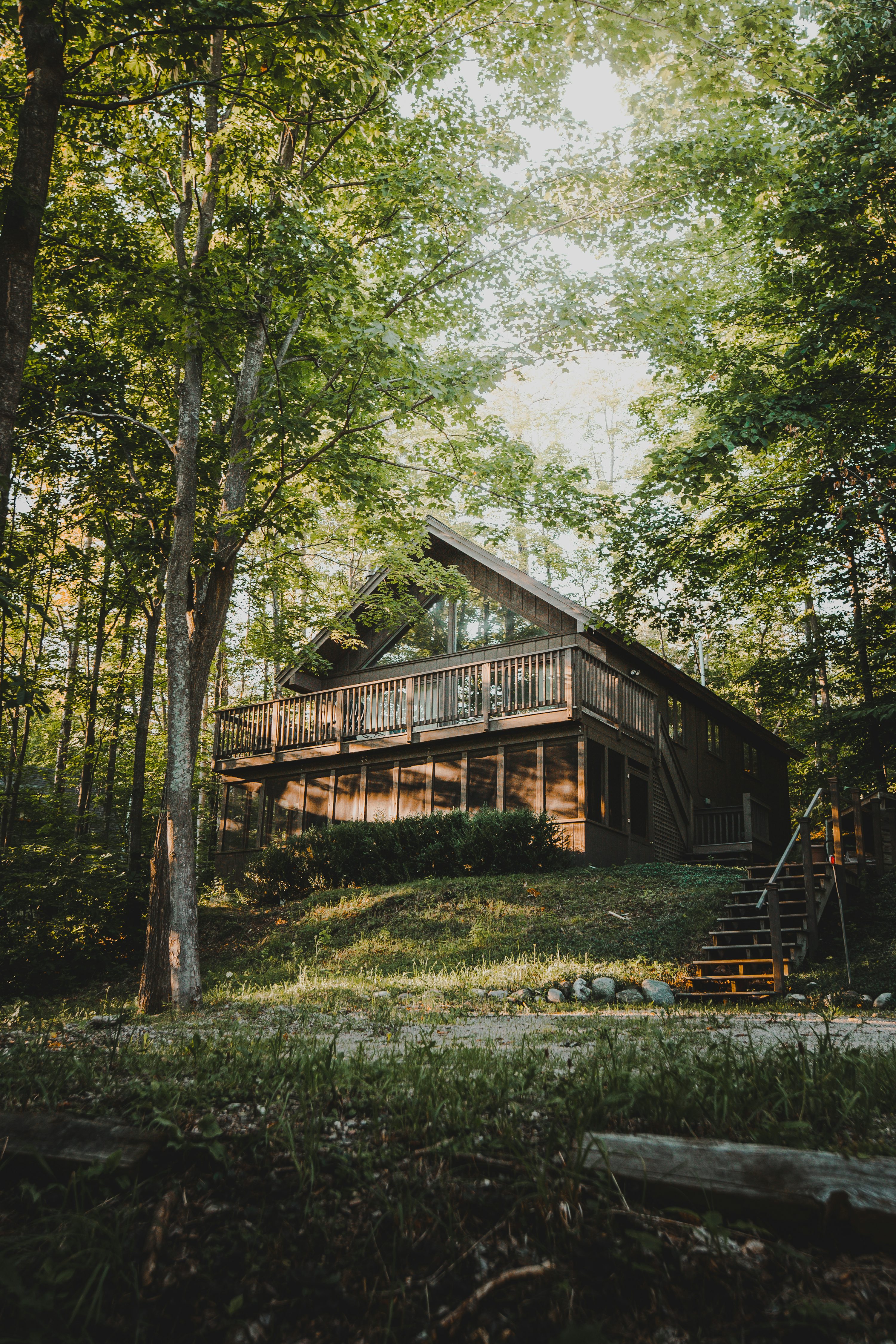Forest House Picture. Download Free Image