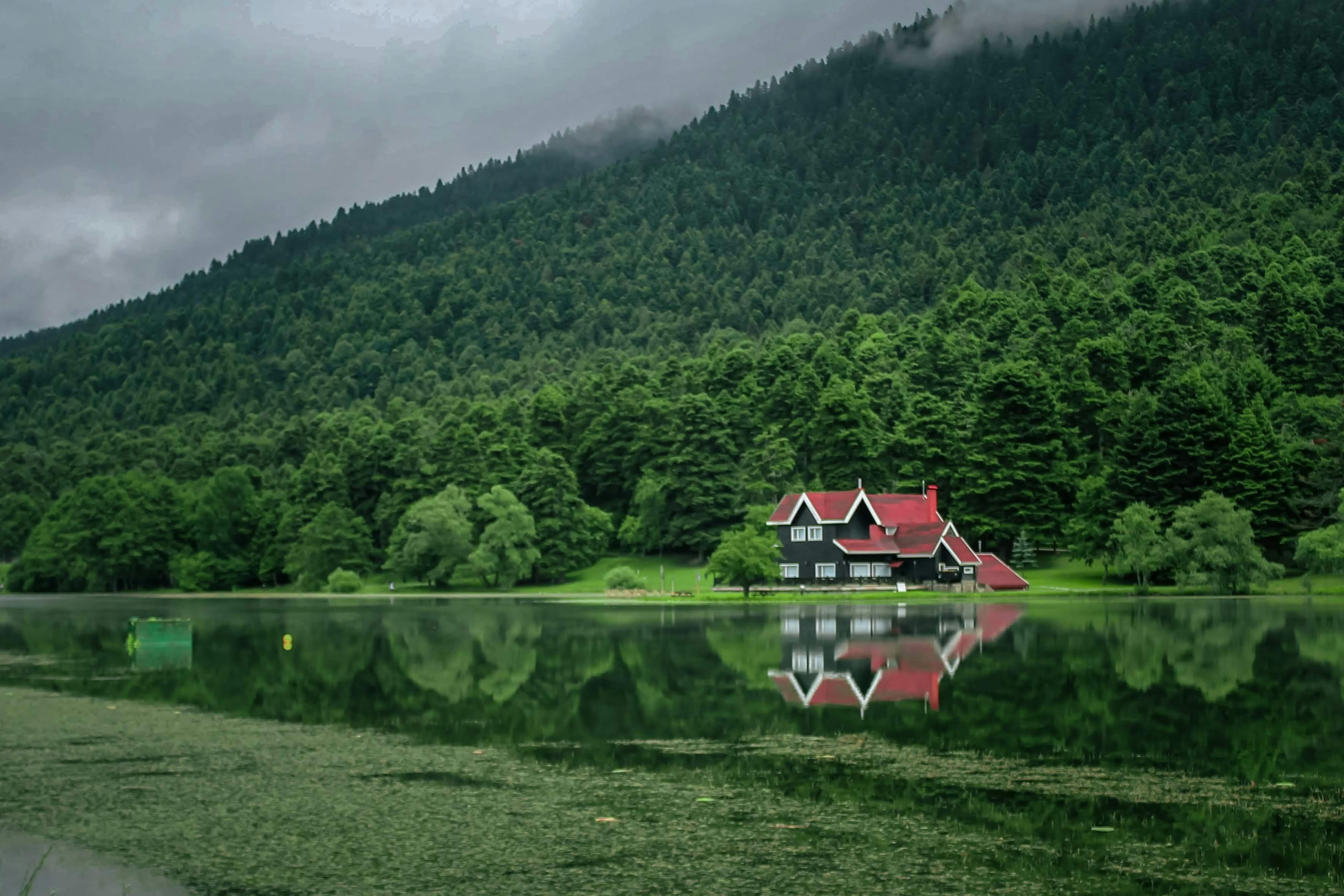 House by Lake under Forest on Hill · Free