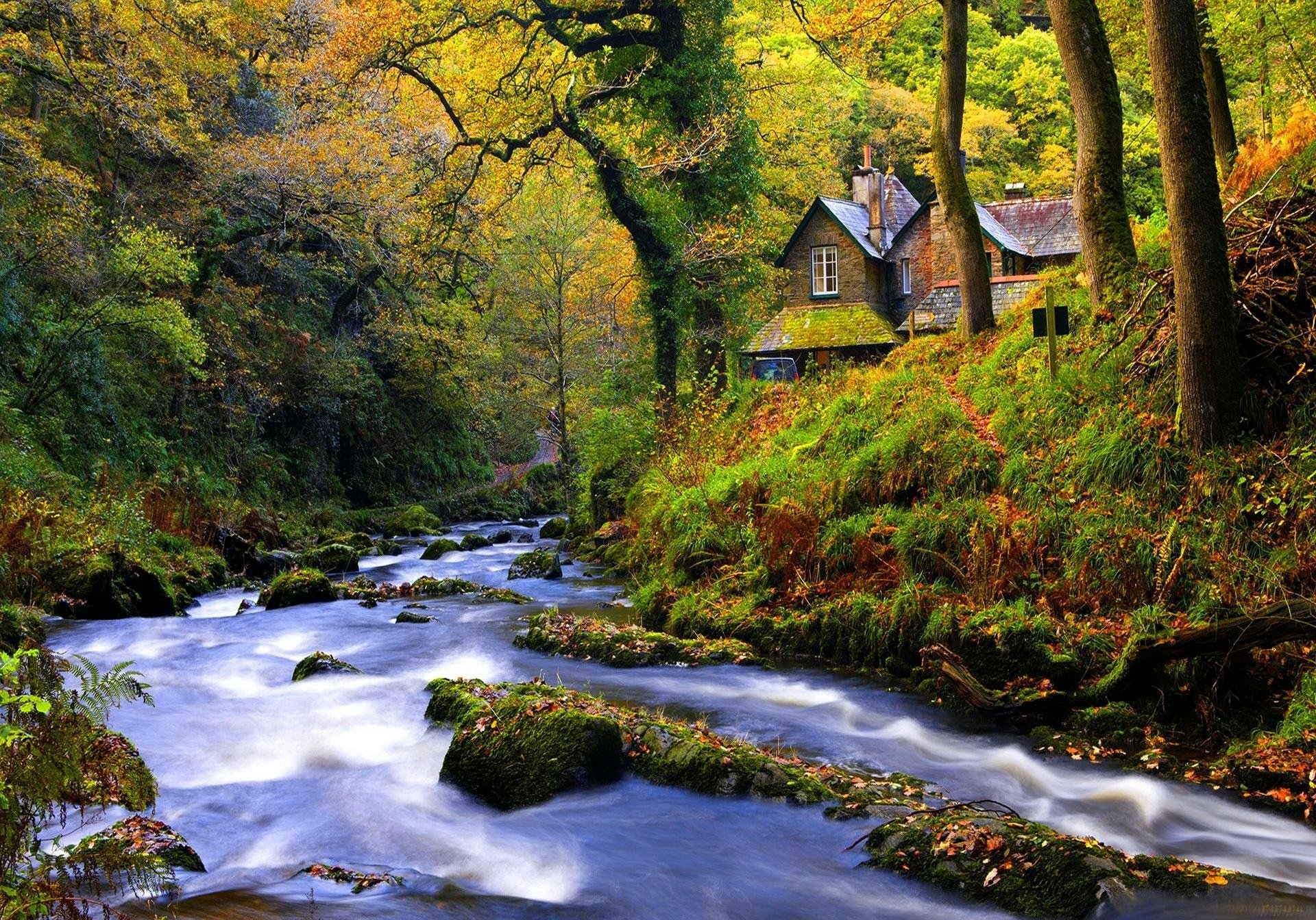 Download Fall Stream Tree Forest Cottage Man Made House HD Wallpaper