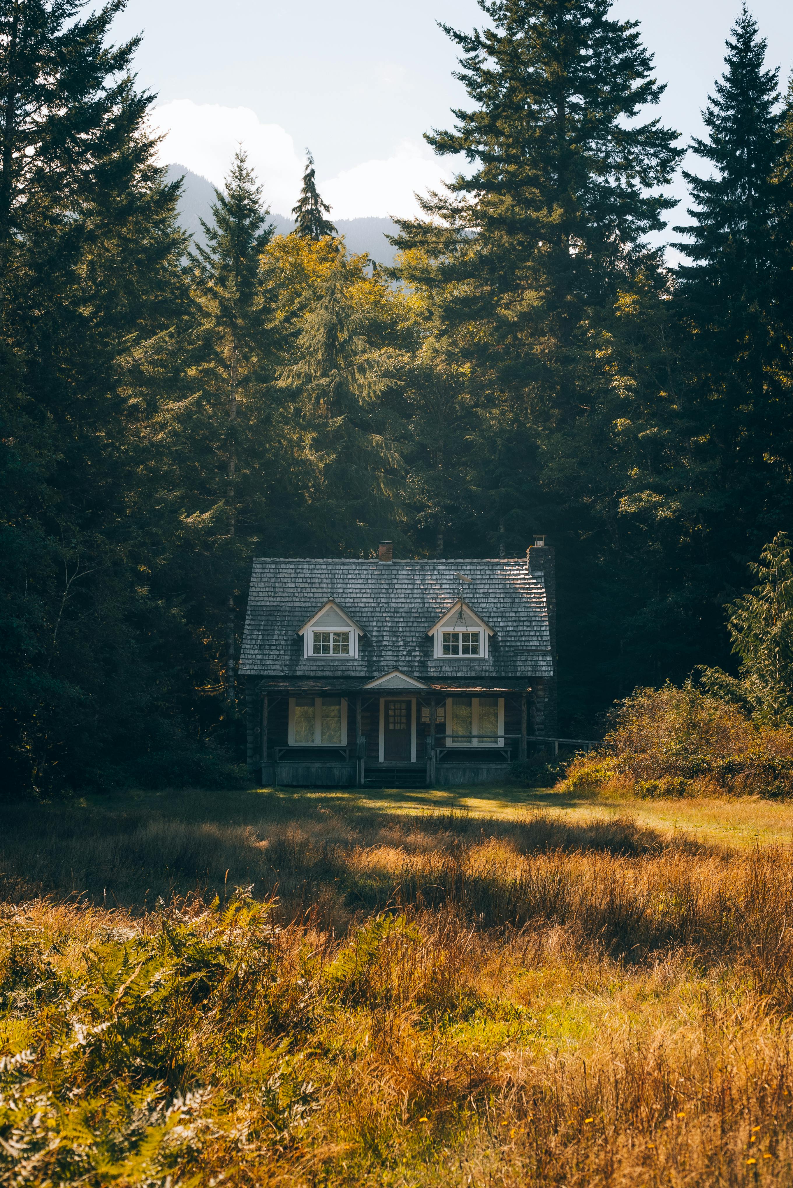 Forest House Photo, Download The BEST Free Forest House & HD Image