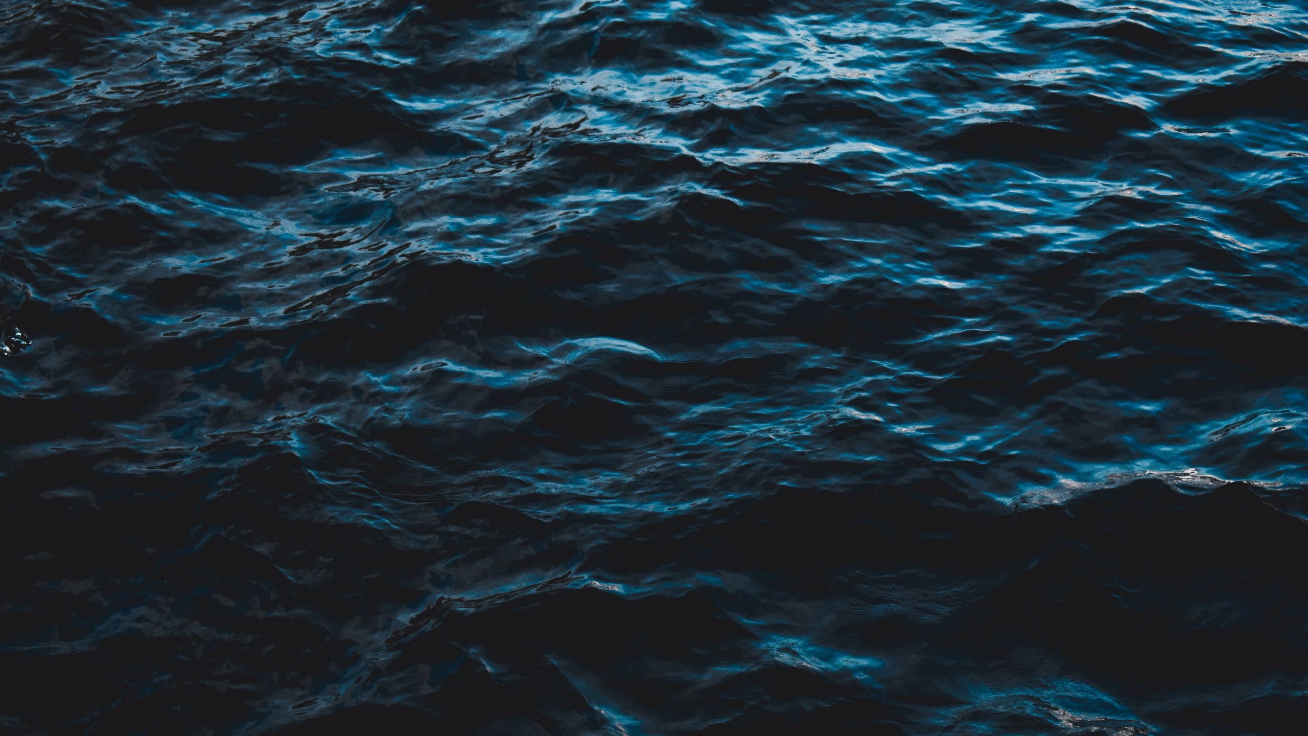 Download wallpaper 2560x1440 sea, water, ripples, waves, dark, surface widescreen 16:9 HD background