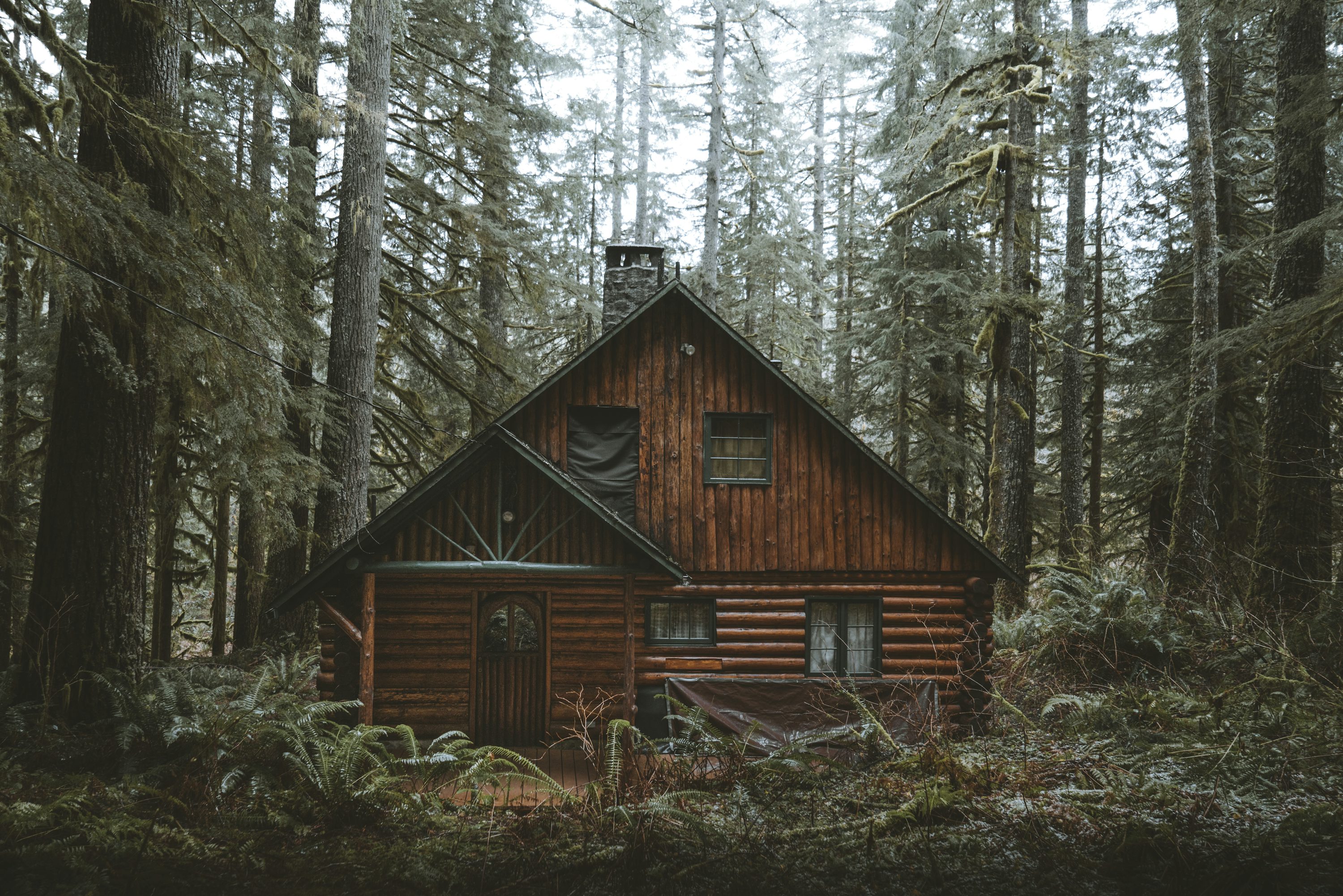Brown wooden house in the woods photo