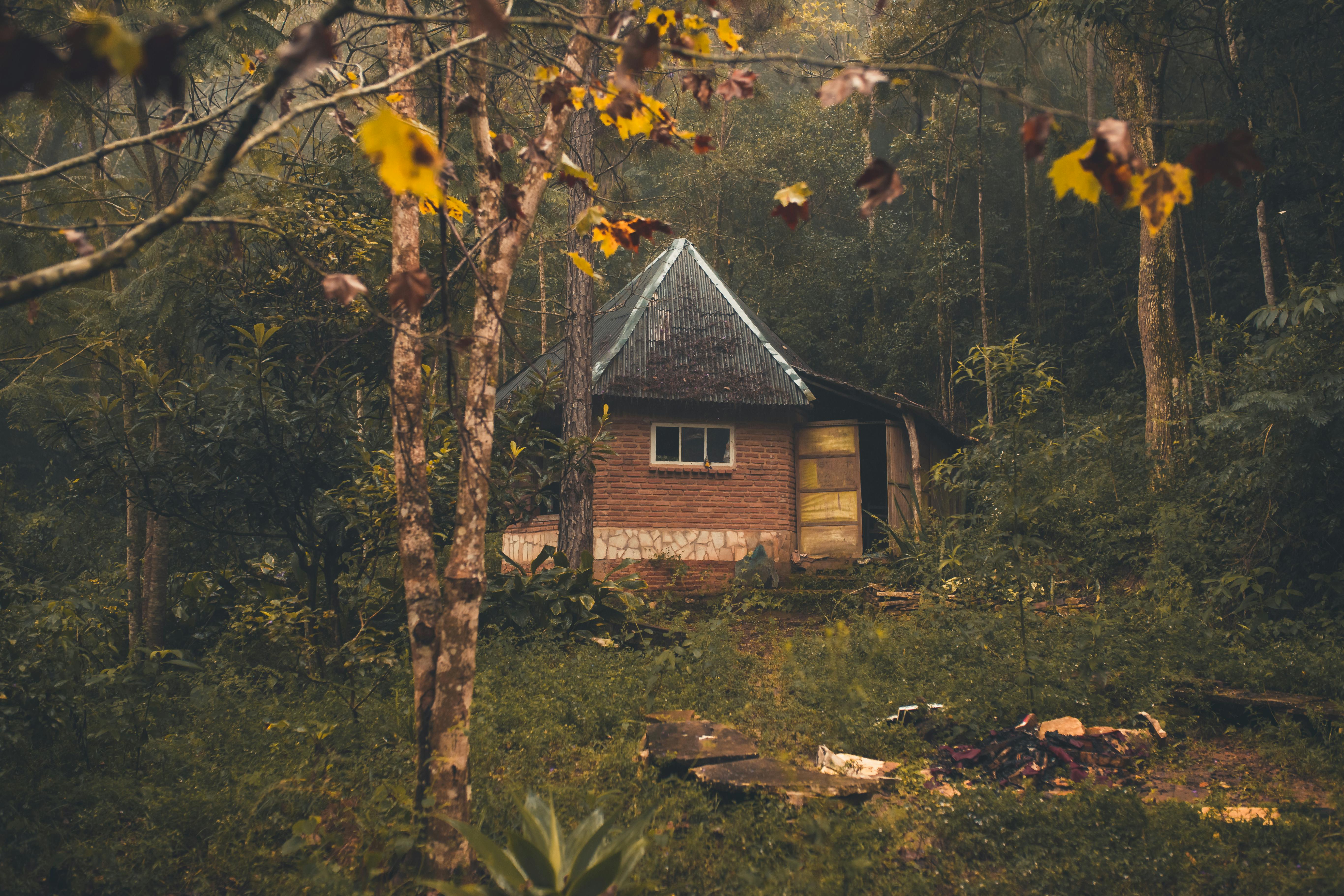 Forest House Photo, Download The BEST Free Forest House & HD Image