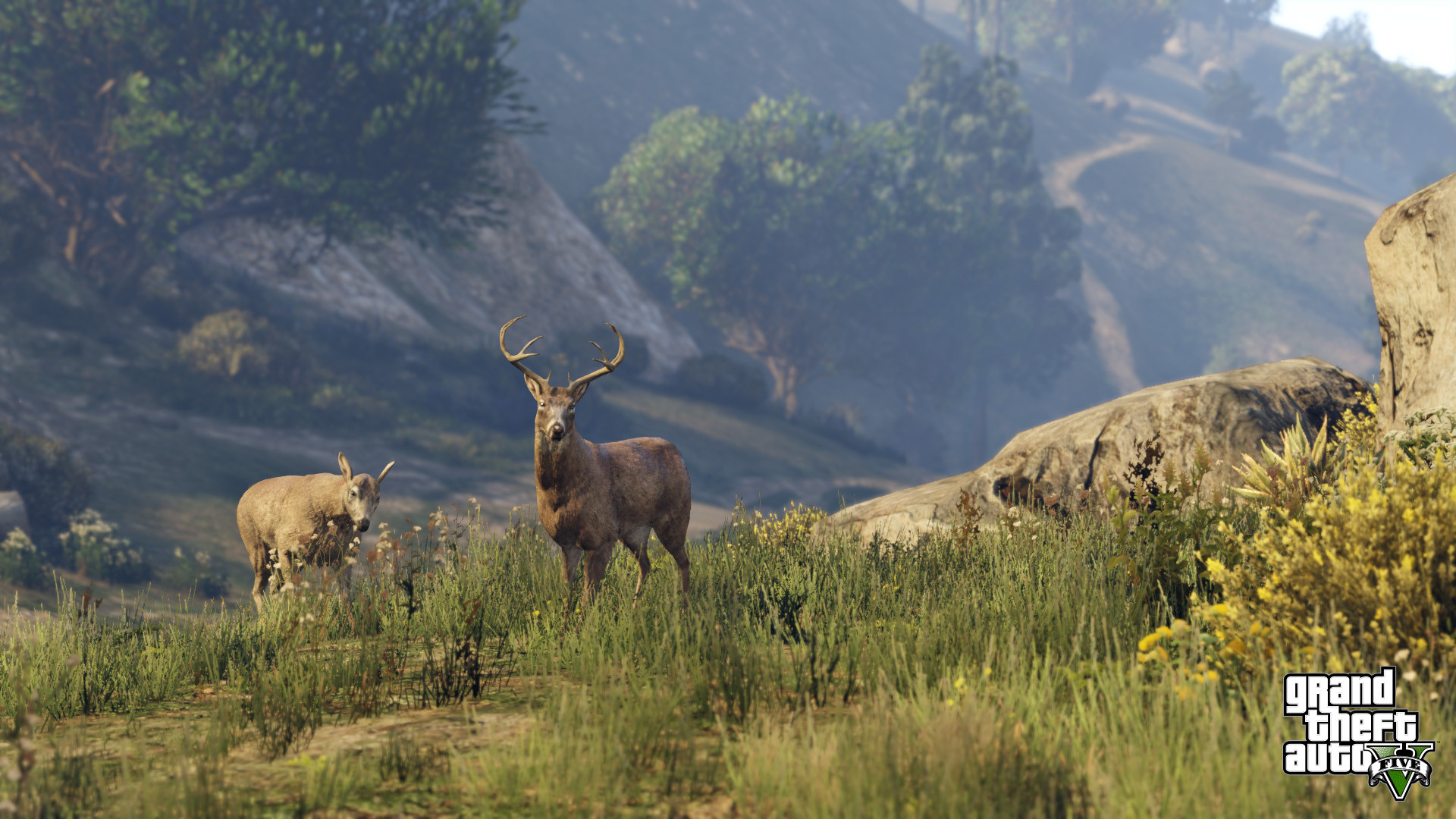 GTA V PS4 Screenshots Show Huge Graphical Difference