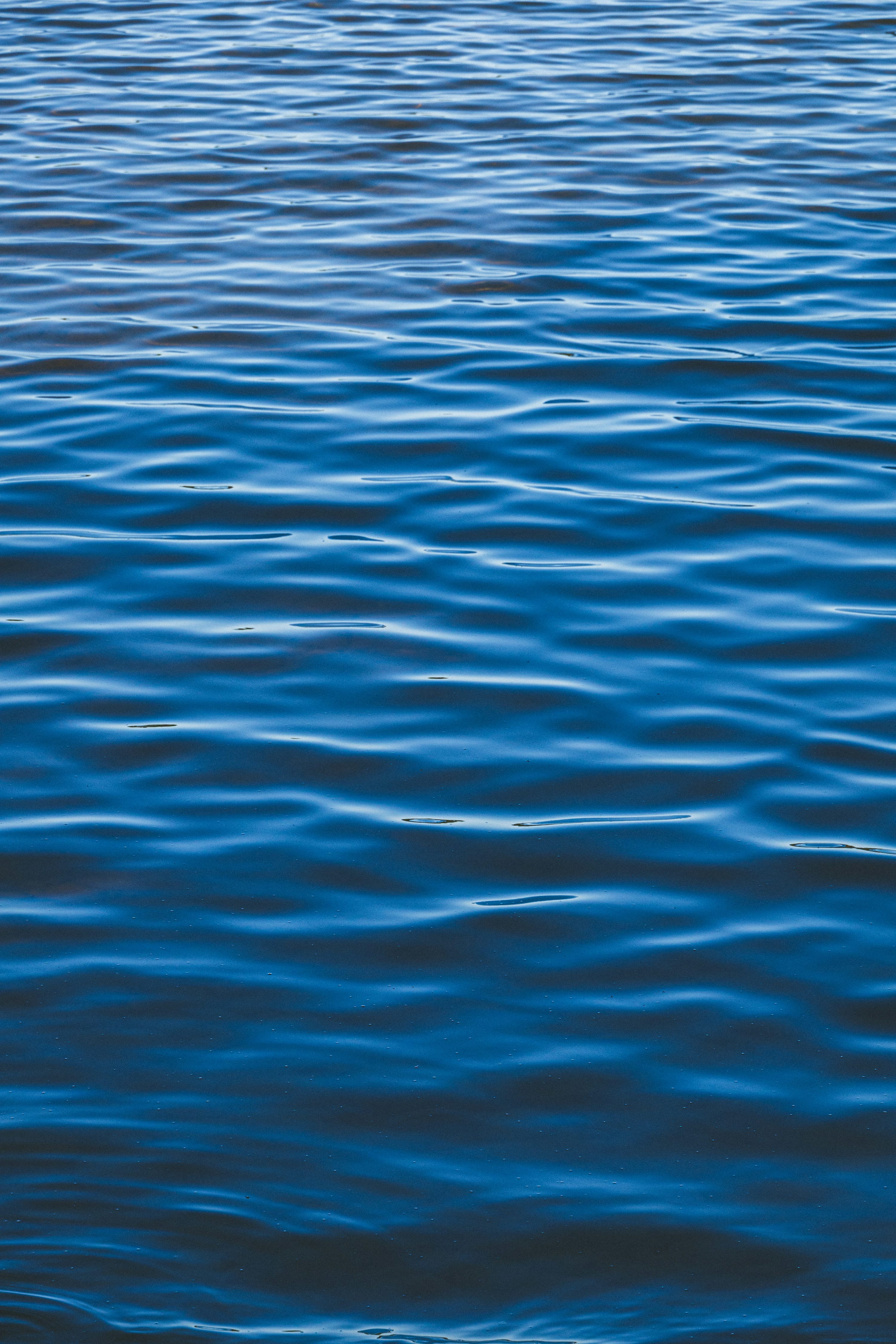 Water Ripple Picture. Download Free Image