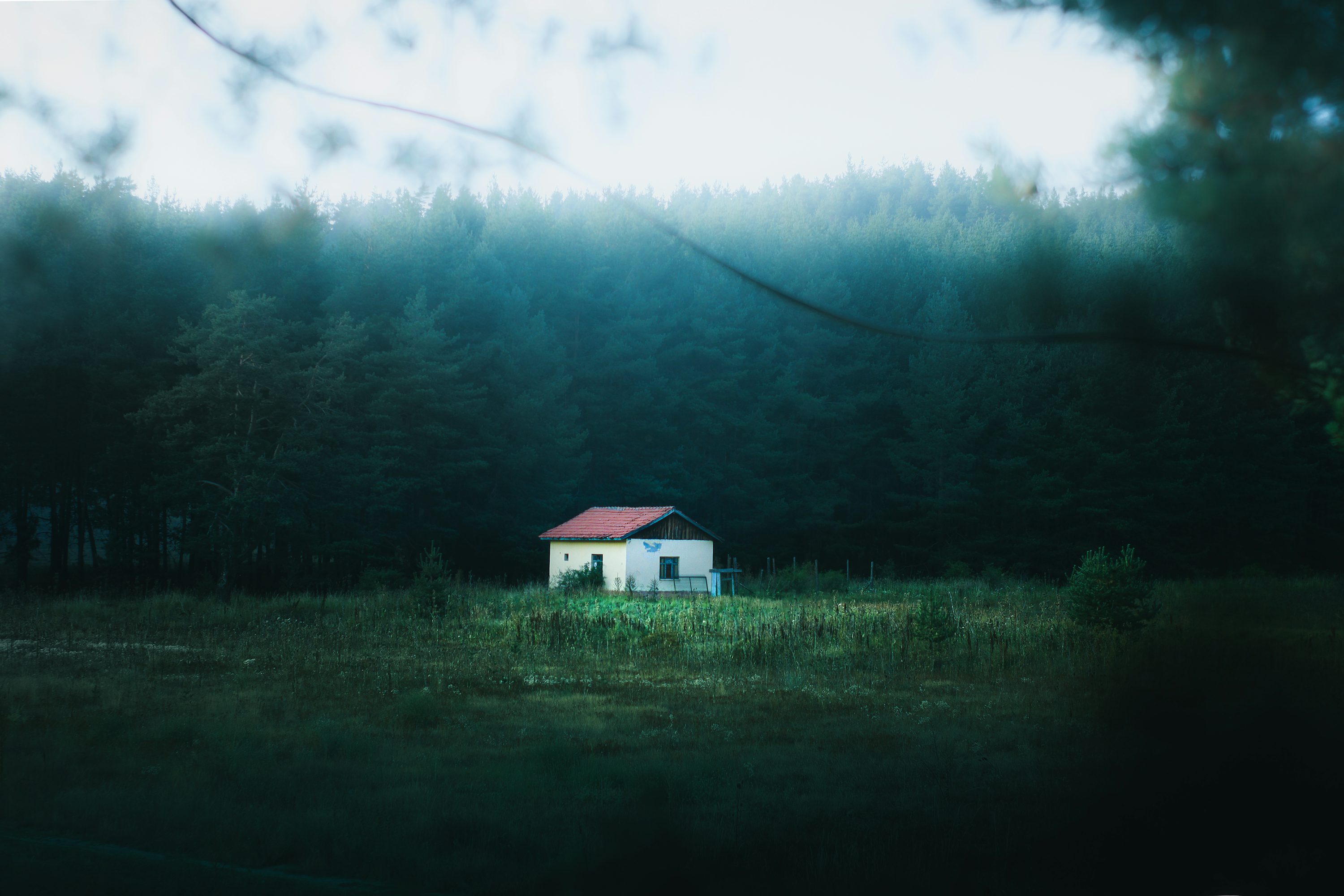 Forest House Picture. Download Free Image