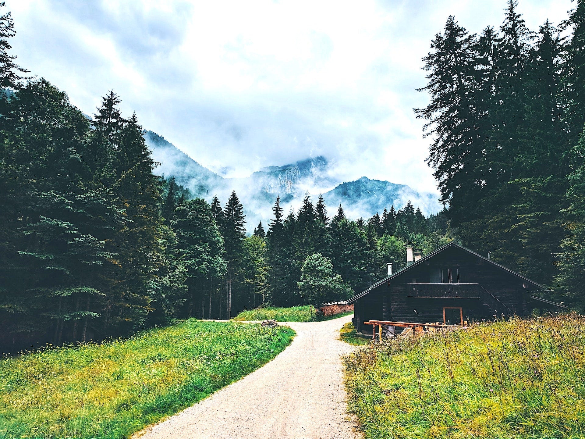 What smells can be found in the forest: Forest smells