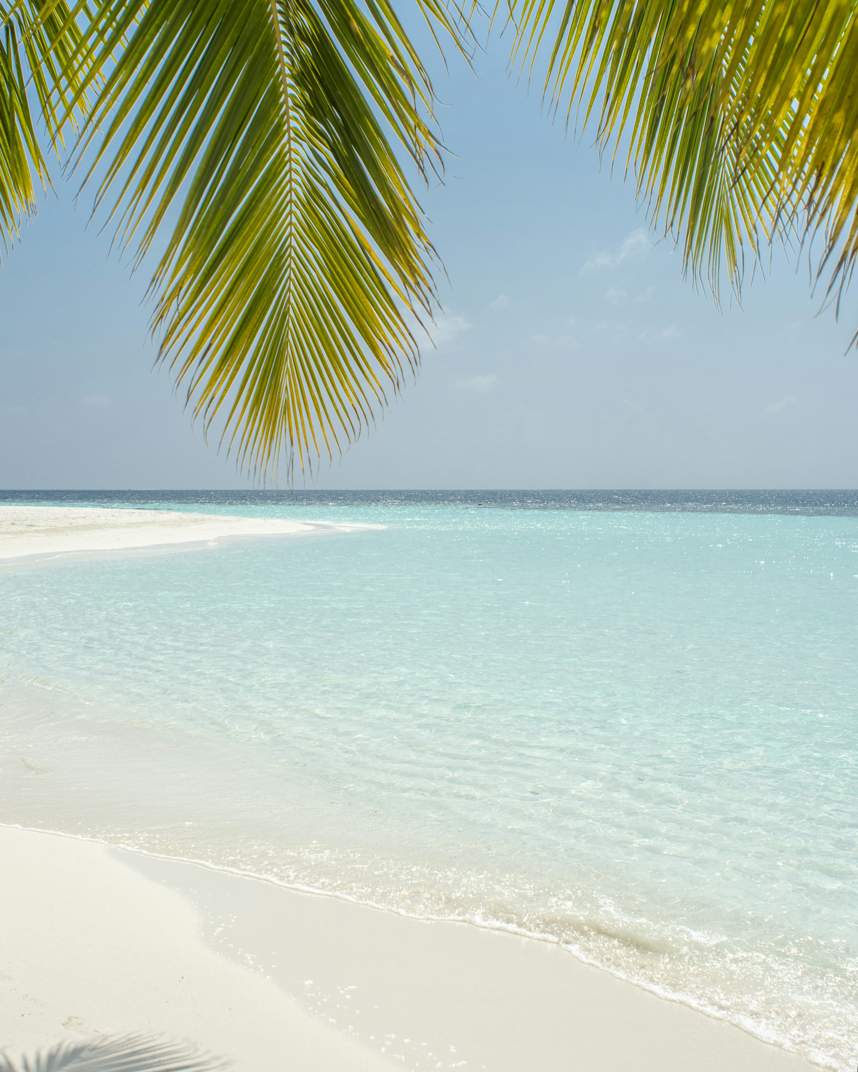 Summer Beach Picture. Download Free Image