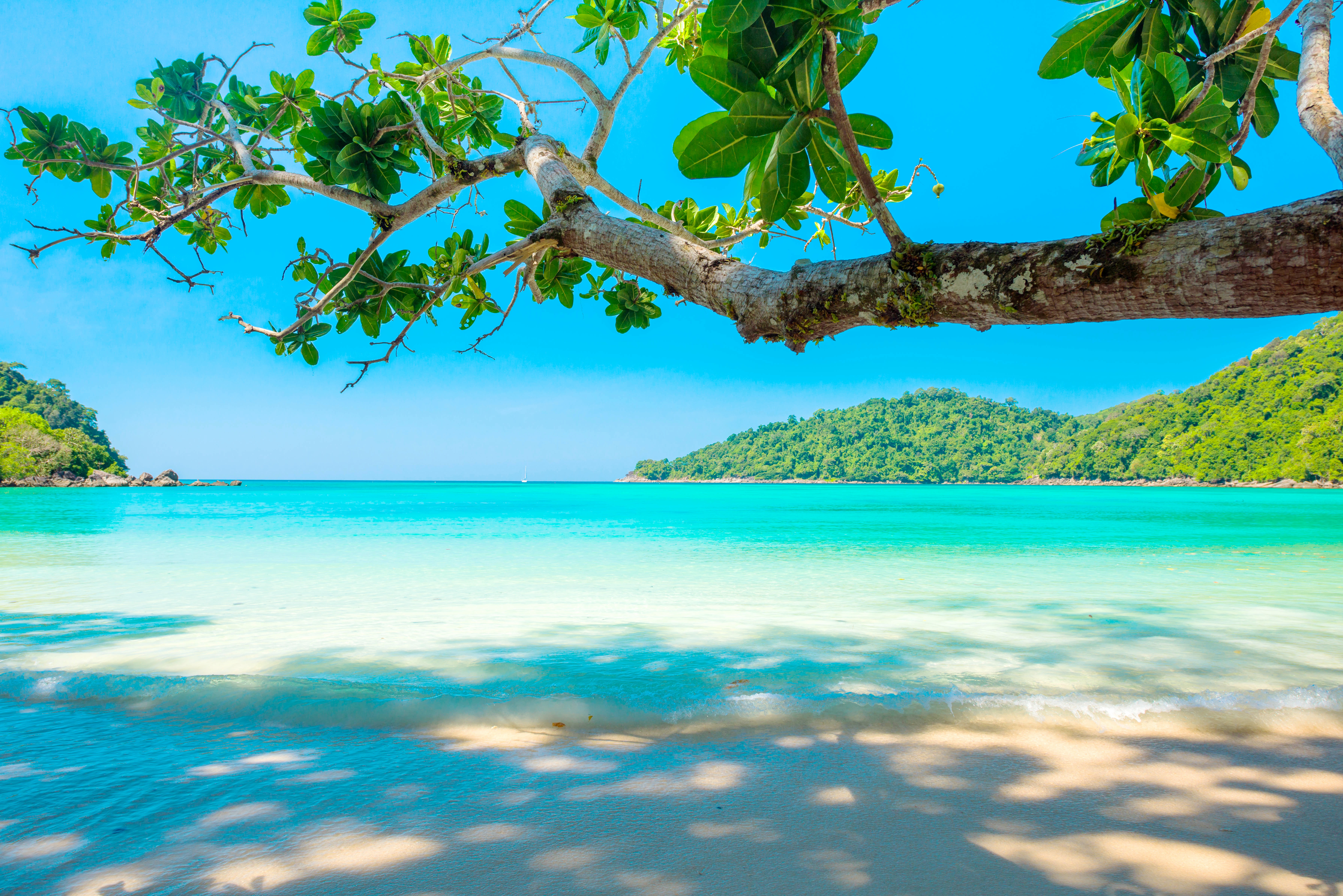 Wallpaper sand, sea, wave, beach, summer, the sky, palm trees, shore for mobile and desktop, section природа, resolution 7160x4779