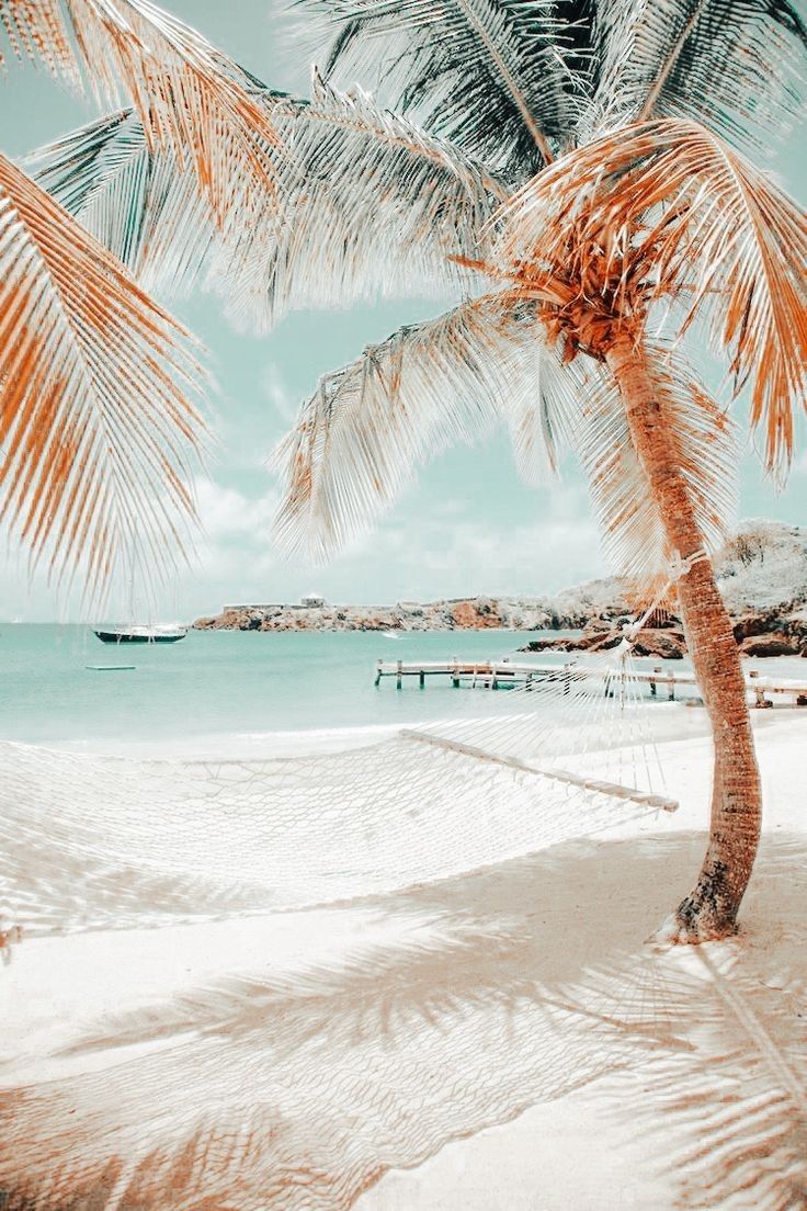 Hawaii. Beach wall collage, Summer beach wallpaper, Scenery wallpaper