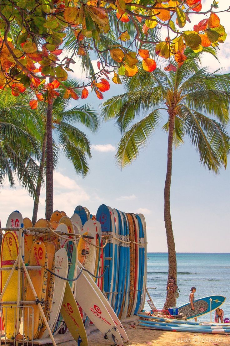Waikiki Beach, Oahu Hawaii. Summer wallpaper, Summer picture, Phone wallpaper