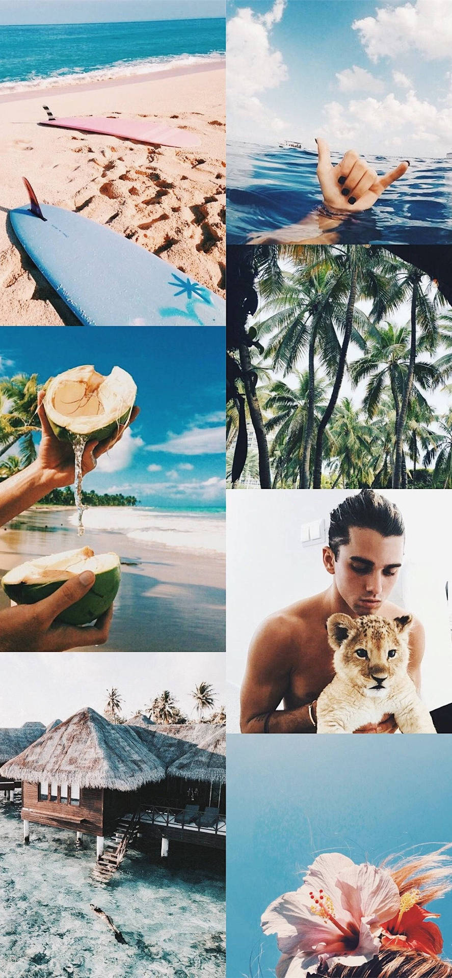 Download Aesthetic Beach Collage Wallpaper