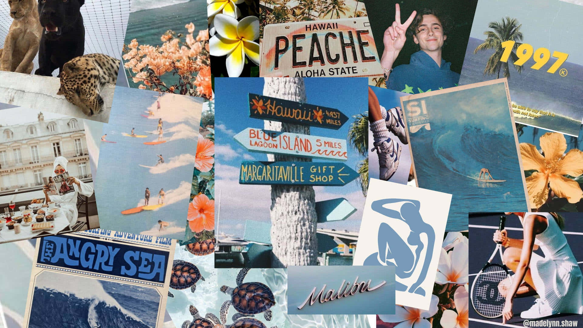 Download Enhance Your Desktop with This Aesthetic Collage Wallpaper