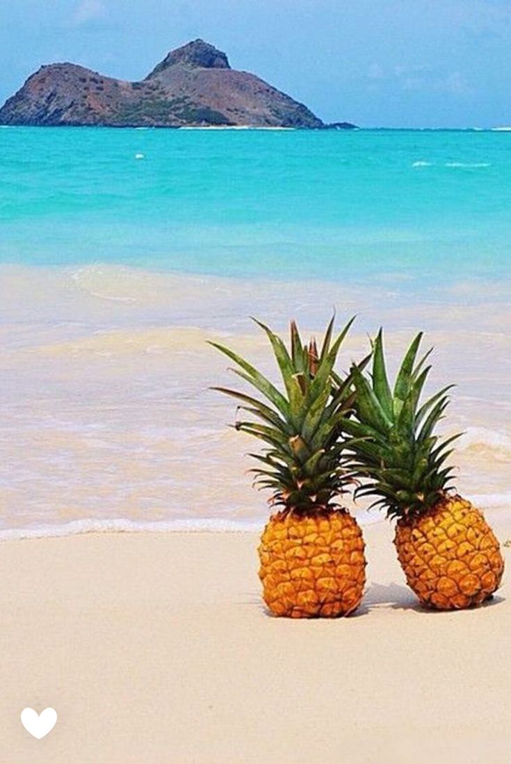 Hawaii Summer Wallpaper, HD Hawaii Summer Background on WallpaperBat
