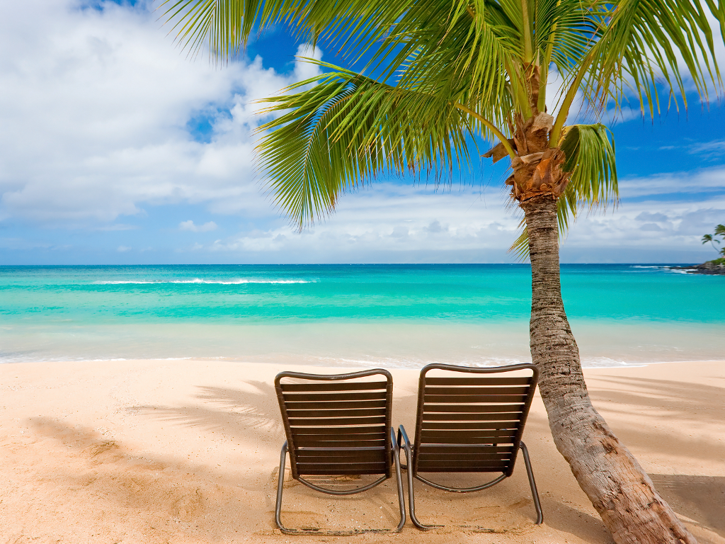 Summer Beach Background
