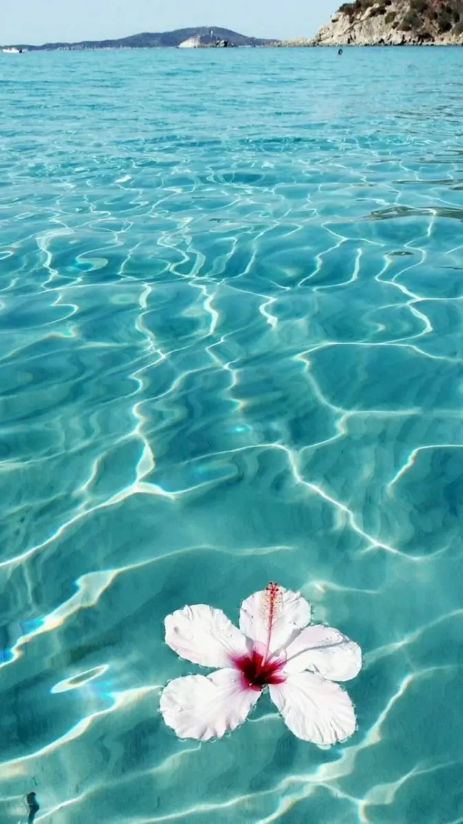 Hawaii wallpaper