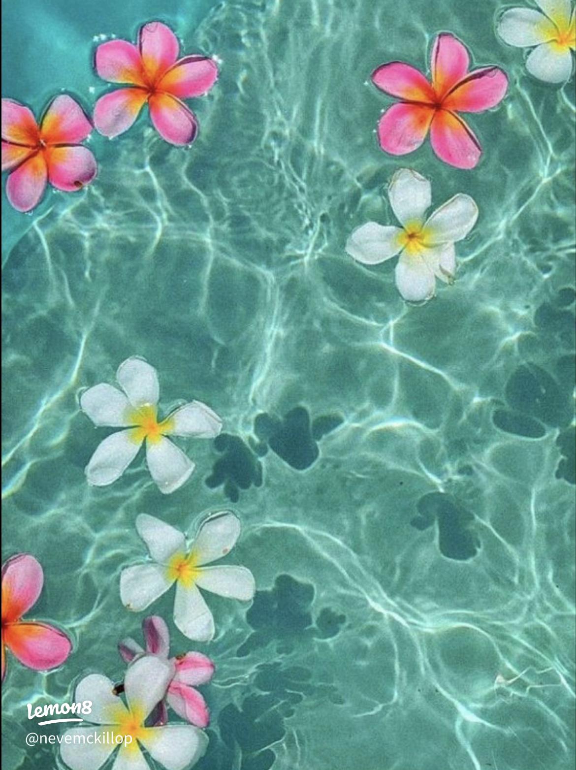 Sunny Day Wallpaper: Brighten Your Space with Aesthetic Designs