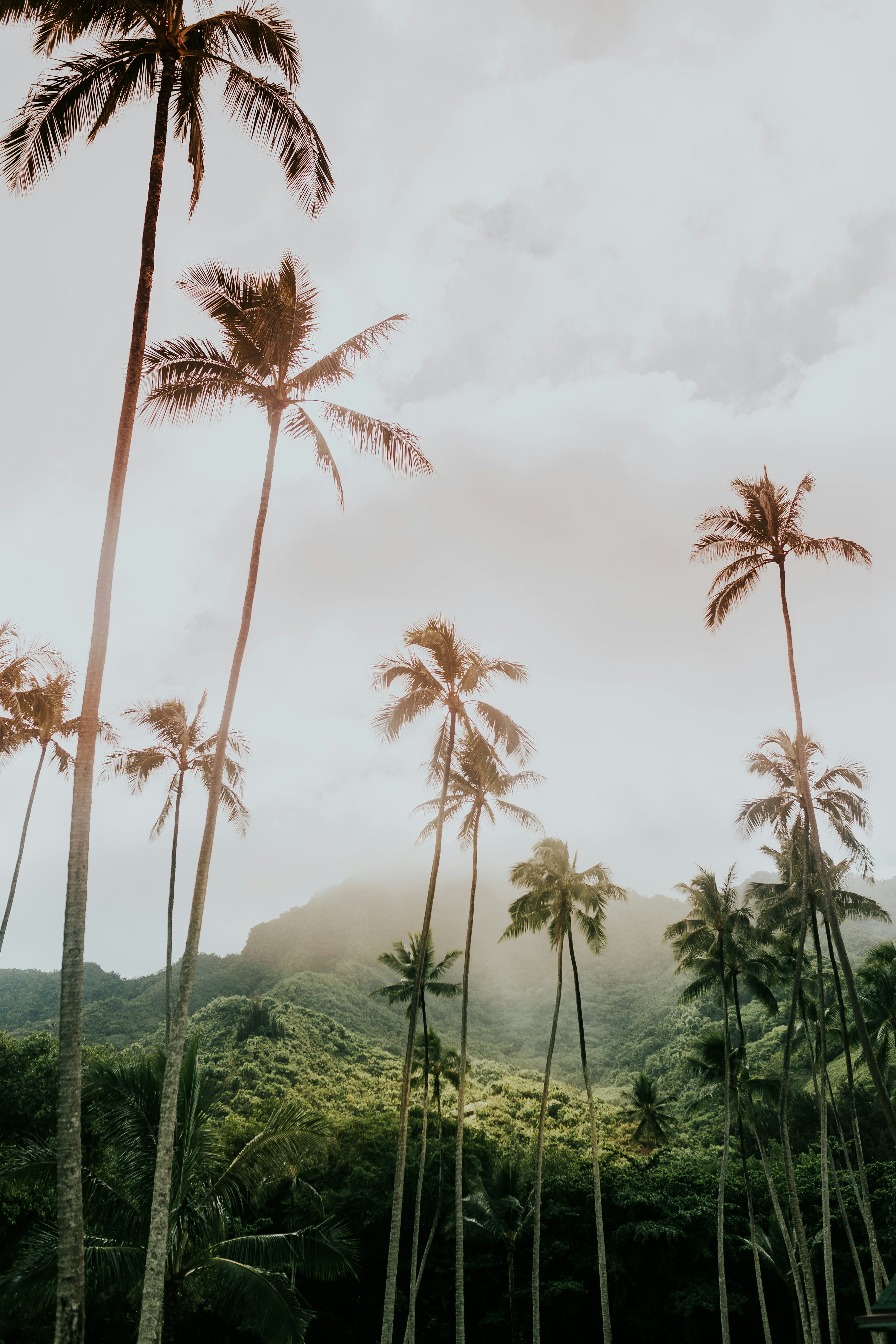 Hawaii Wallpaper: Free HD Download [4K]