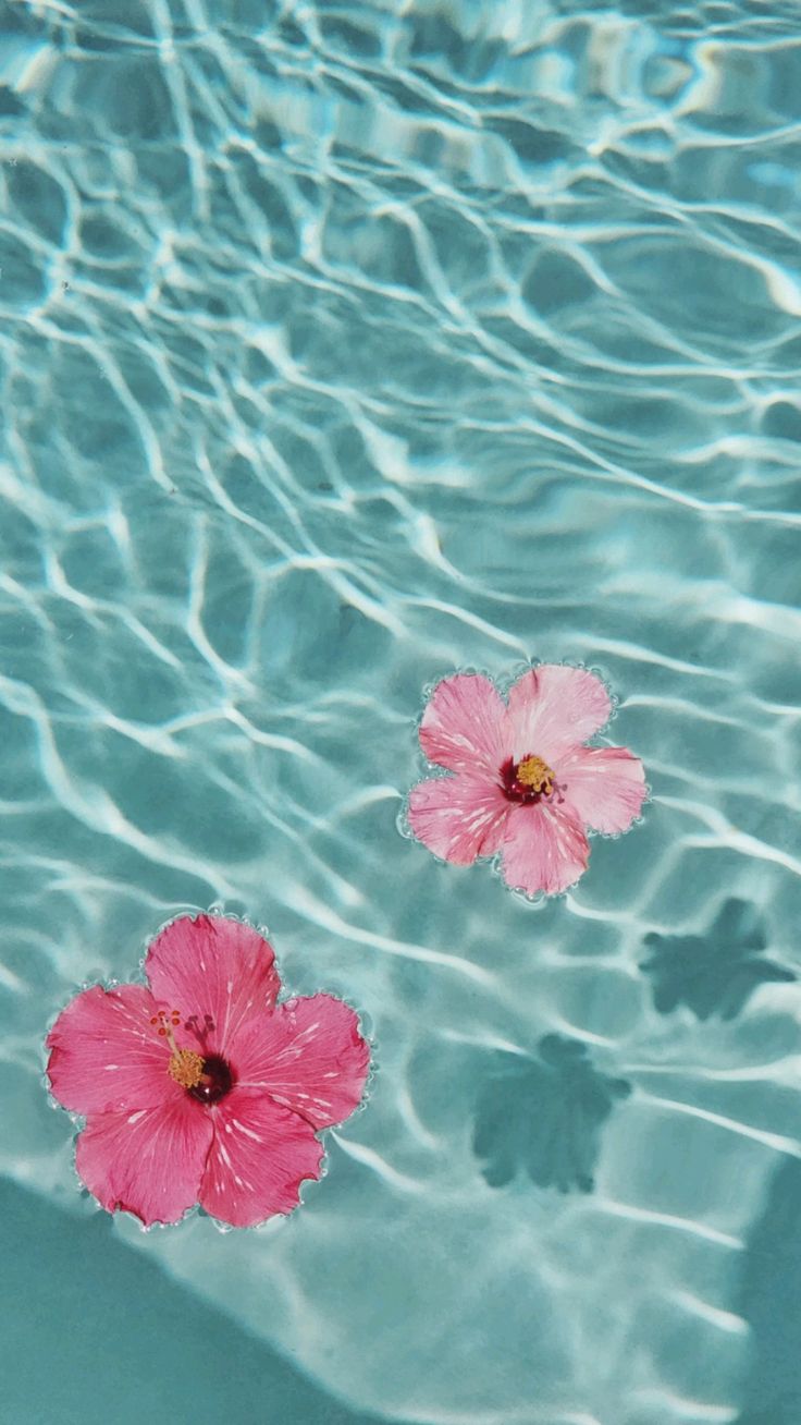 pick flowers, blue swimming pool, Hawaiian flowers, summer, flower aesthetic, summer aesthetic
