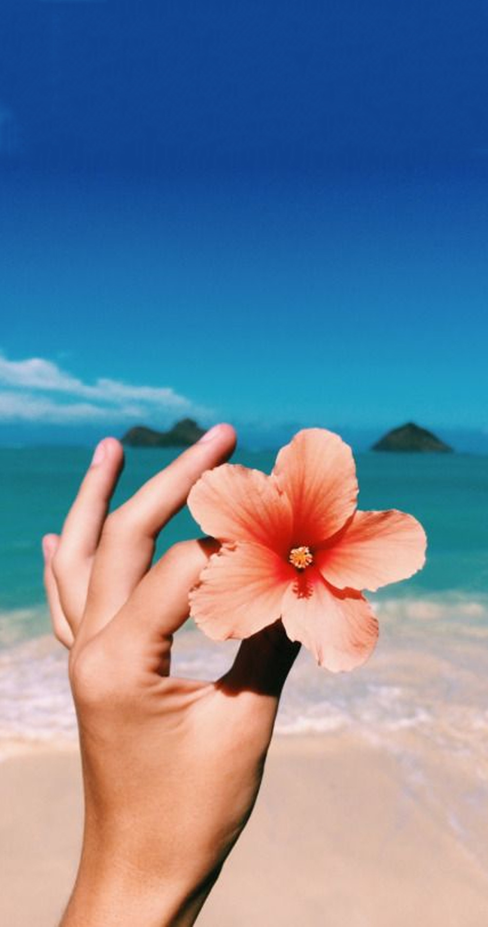 Tropical flower wallpaper! Please like or reblog if you use them. Follow me for more wallpaper