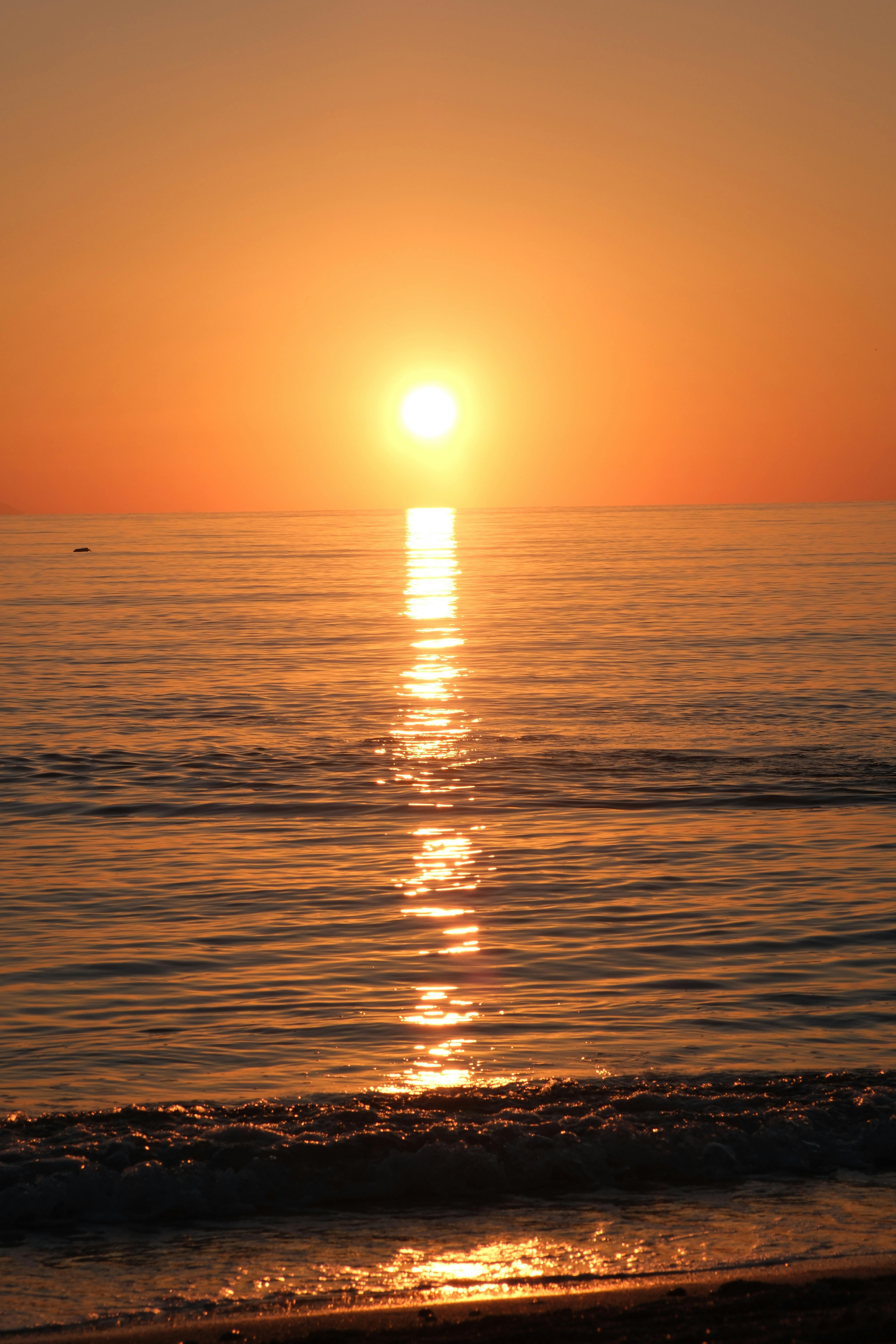 Sunset Over the Ocean · Free