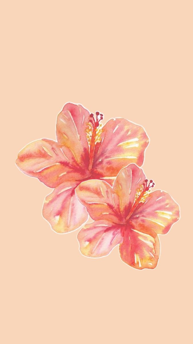 Boho Style iPhone Wallpaper with Pink Flowers
