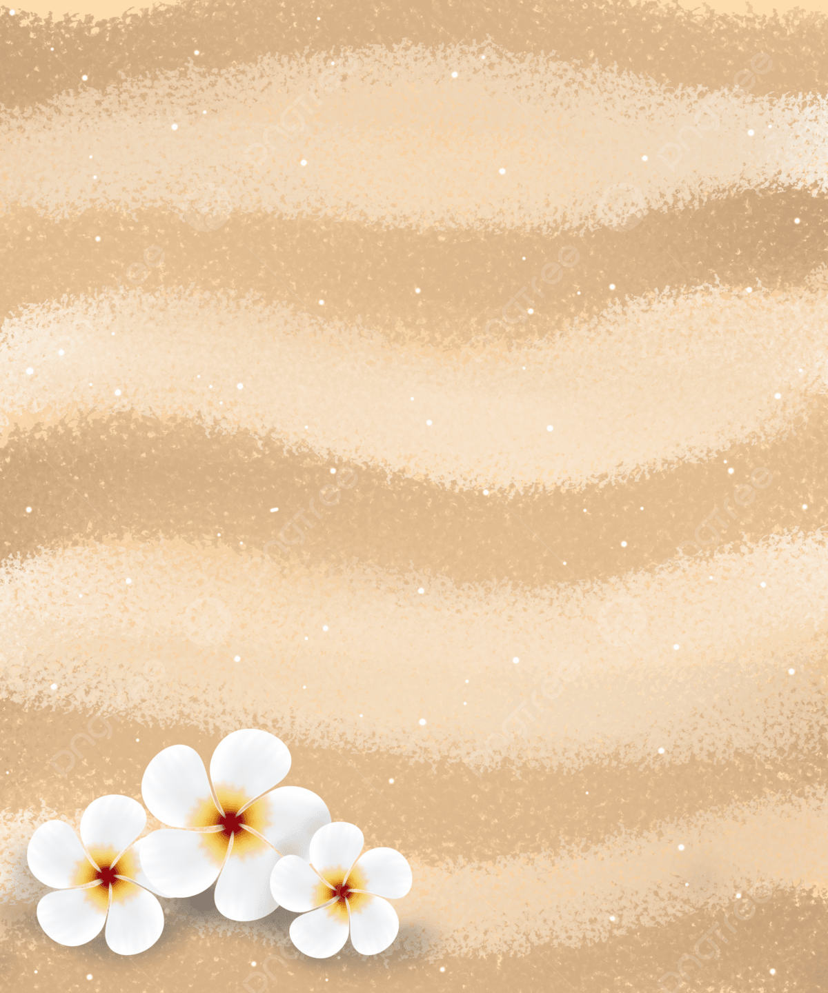 Aesthetic Background With Summer Theme Sand And White Frangipani Flowers By One Art Wallpaper Image For Free Download