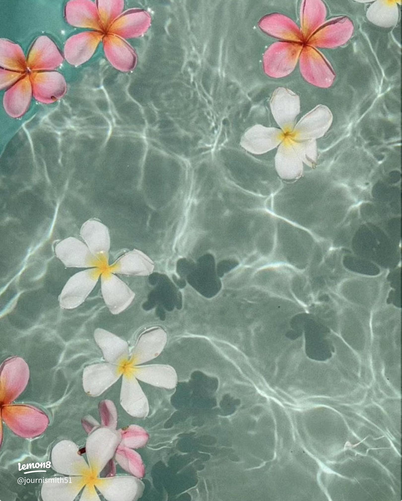 Stylish and Cute Summer Wallpaper for Your Screen