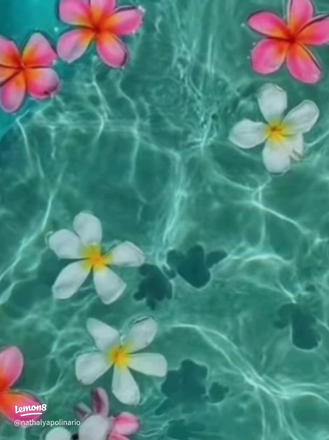 Vibrant Summer Wallpaper for Your iPod and Phone