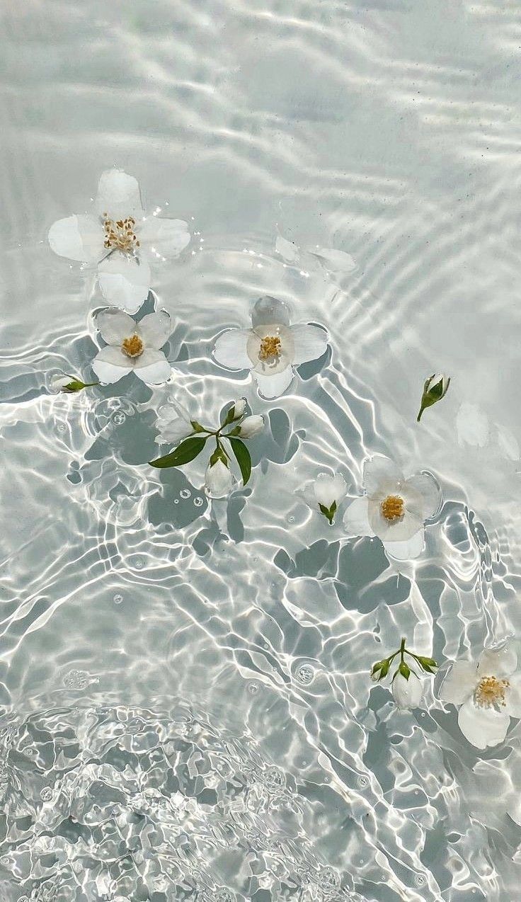 Summer Phone Wallpaper, Floral Wallpaper iPhone, Minimalist Smartphone Wallpaper Set, iPhone Aesthe