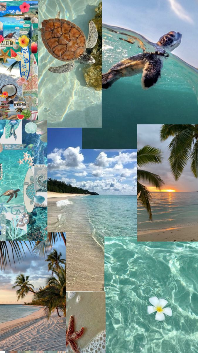 Tropical Summer Wallpaper