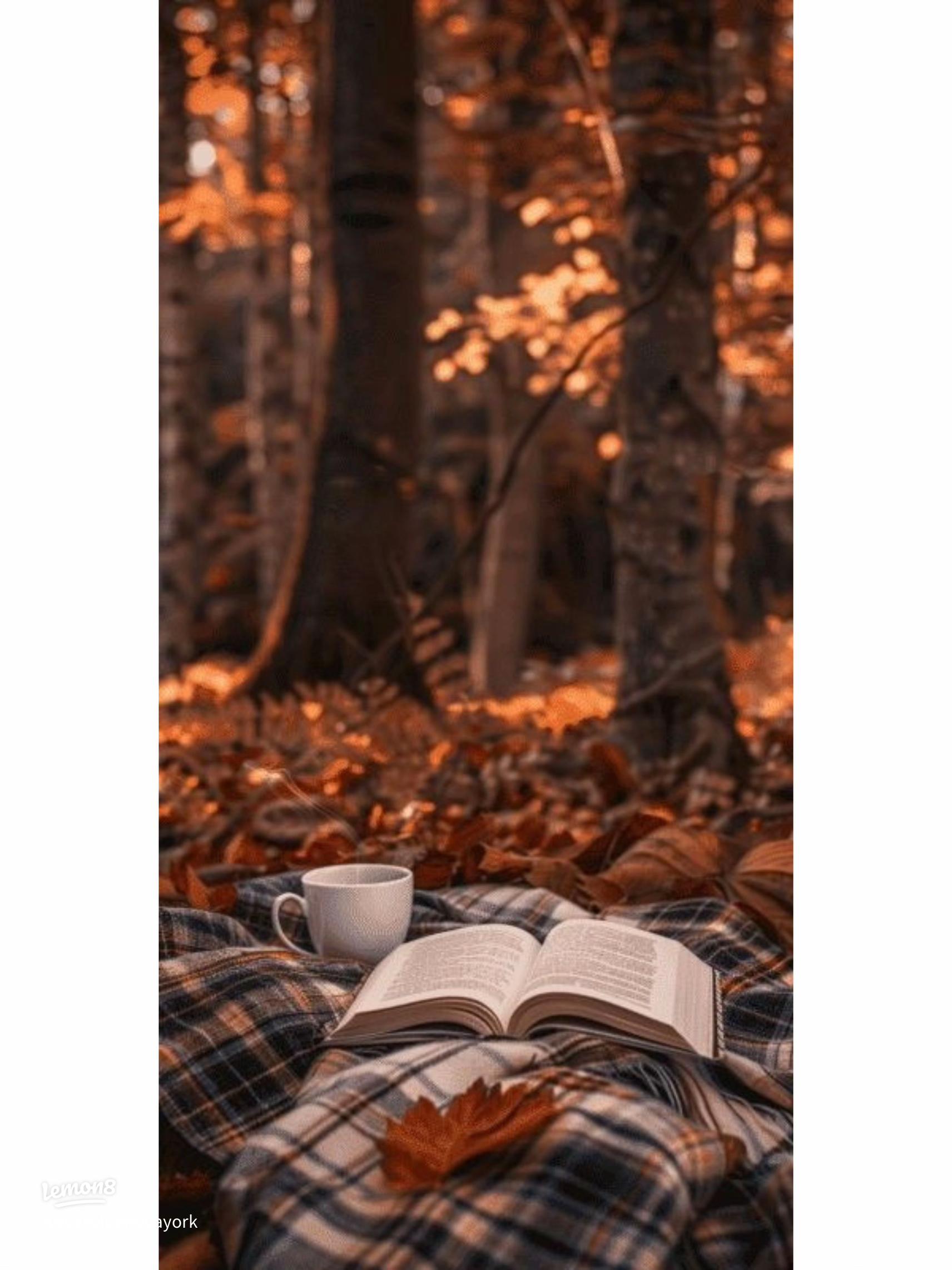 Free Cozy Autumn Wallpaper for November