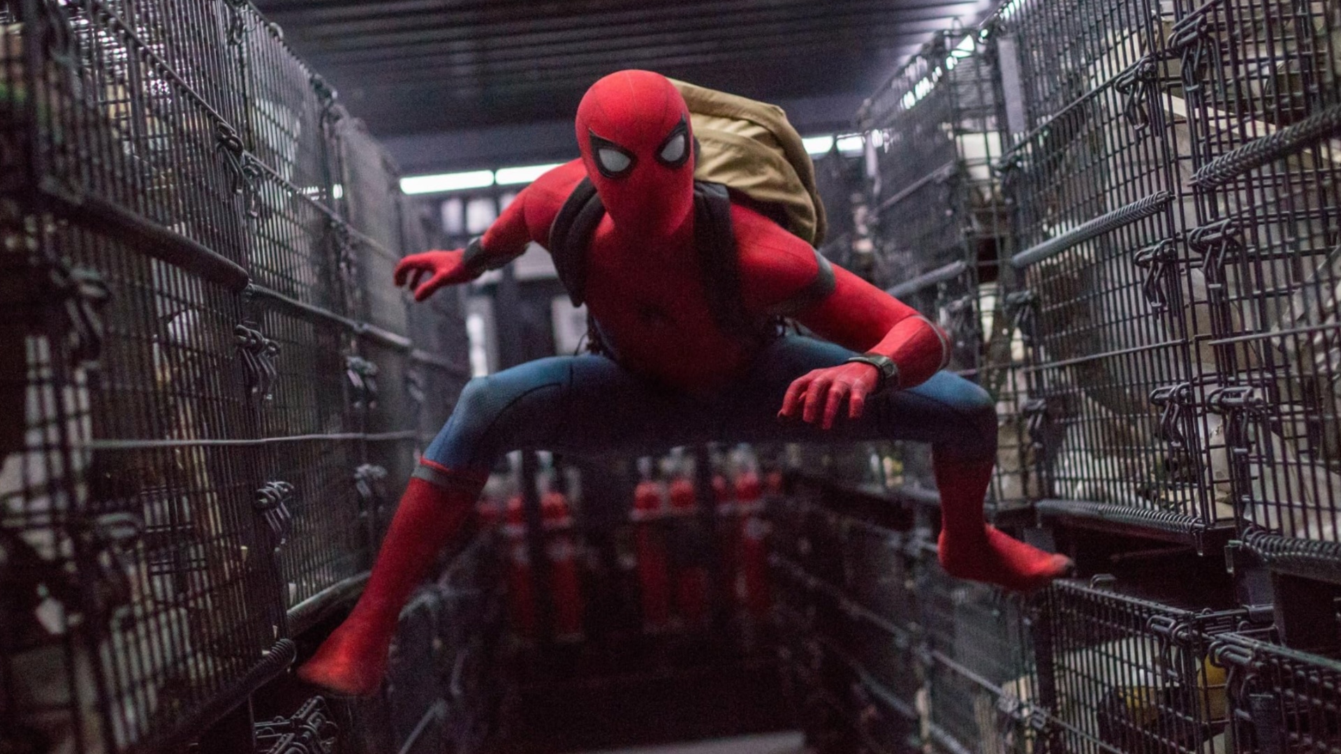 This Is When Spider Man 4 Will Come Out (and Christopher Nolan Might Be Mad About It)