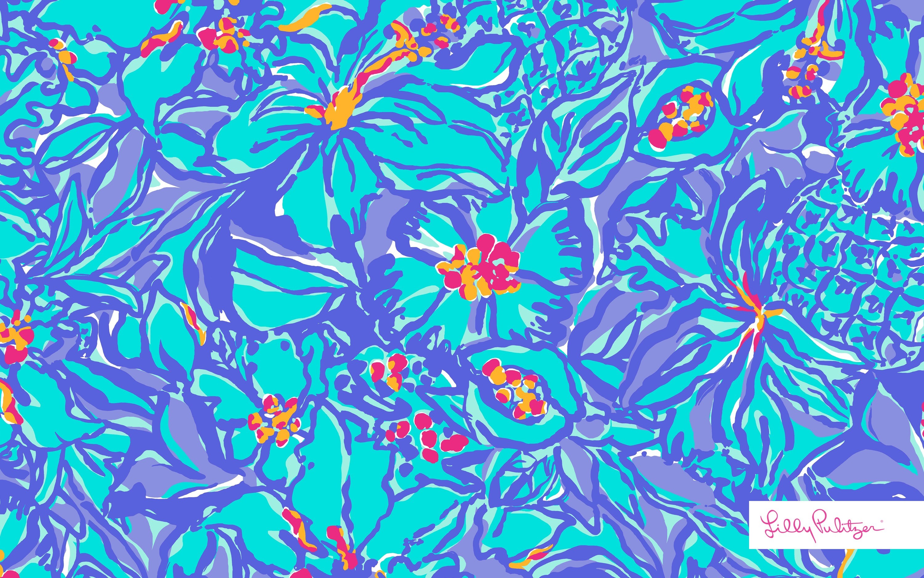 Monogram Lilly Pulitzer Desktop