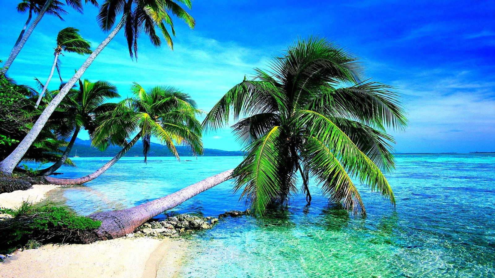 Tropical Beach Background HD Wallpaper 35746