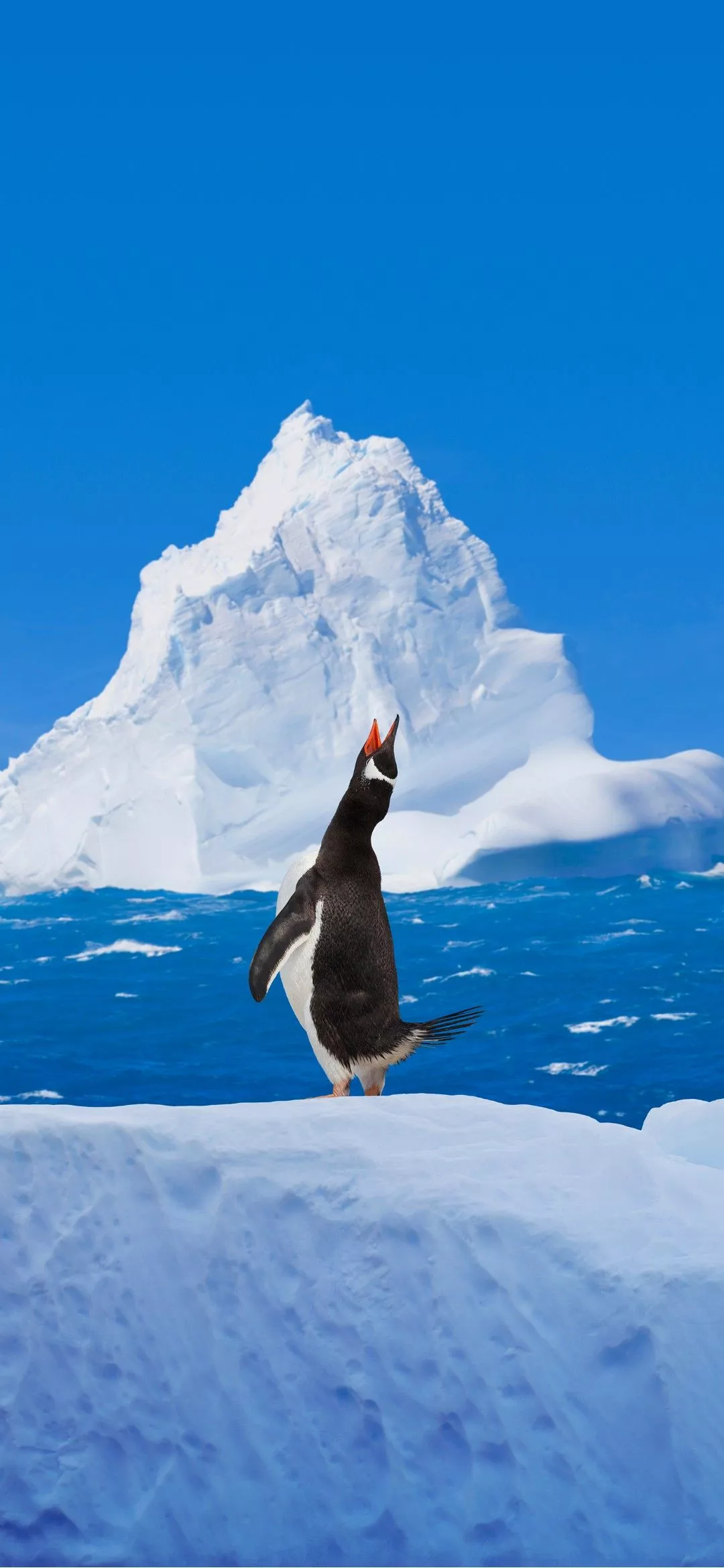 Vivo X200 FE wallpaper