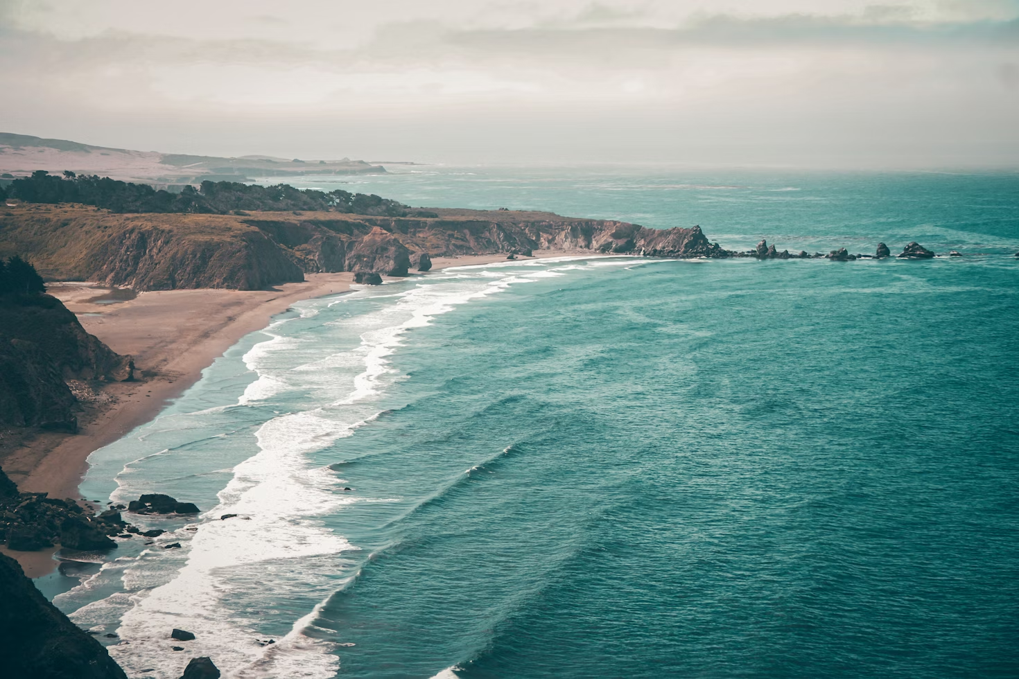 Things to Do in Stockton CA: Amazing Experiences