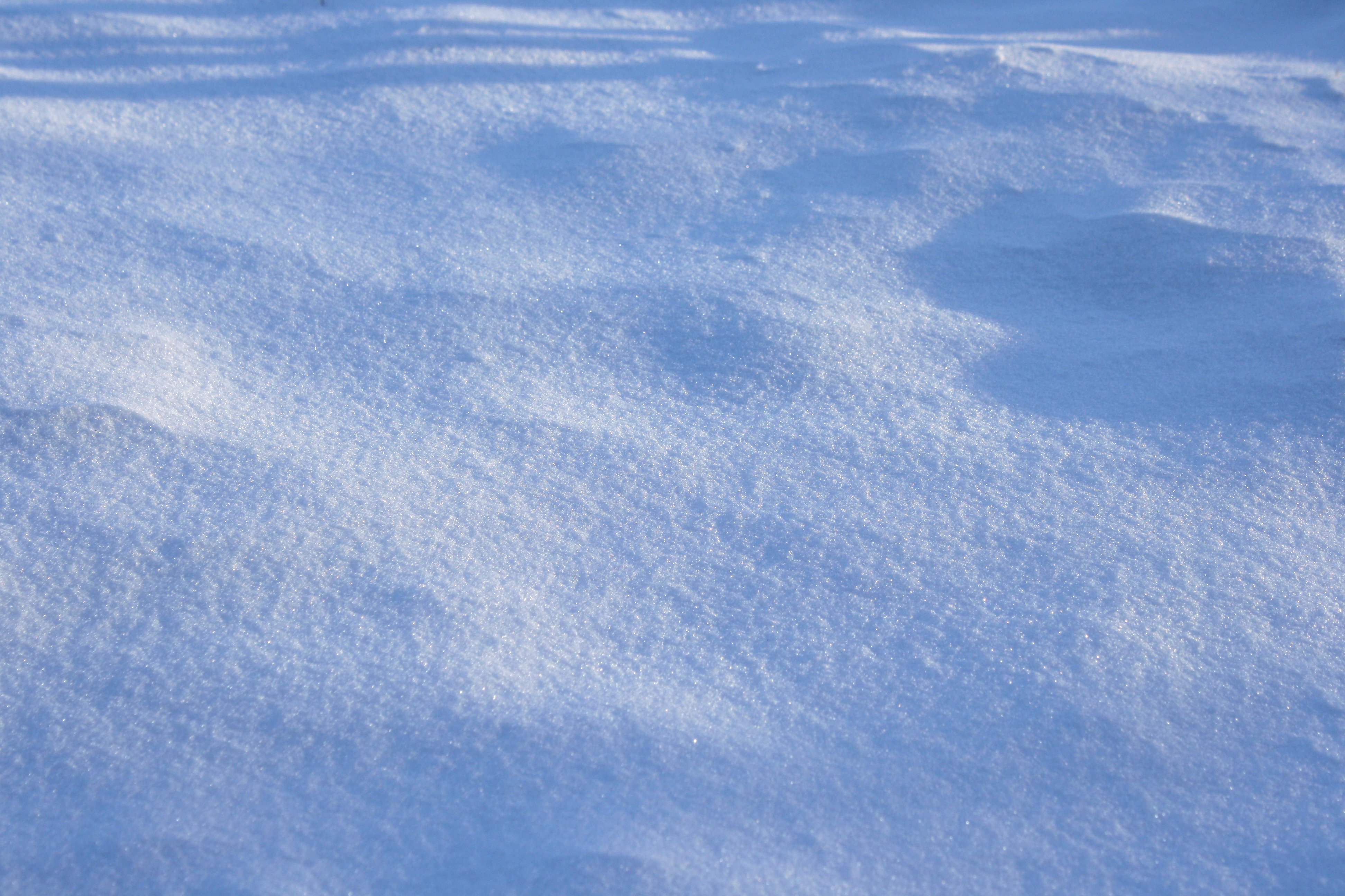 Shadows on Snow Texture